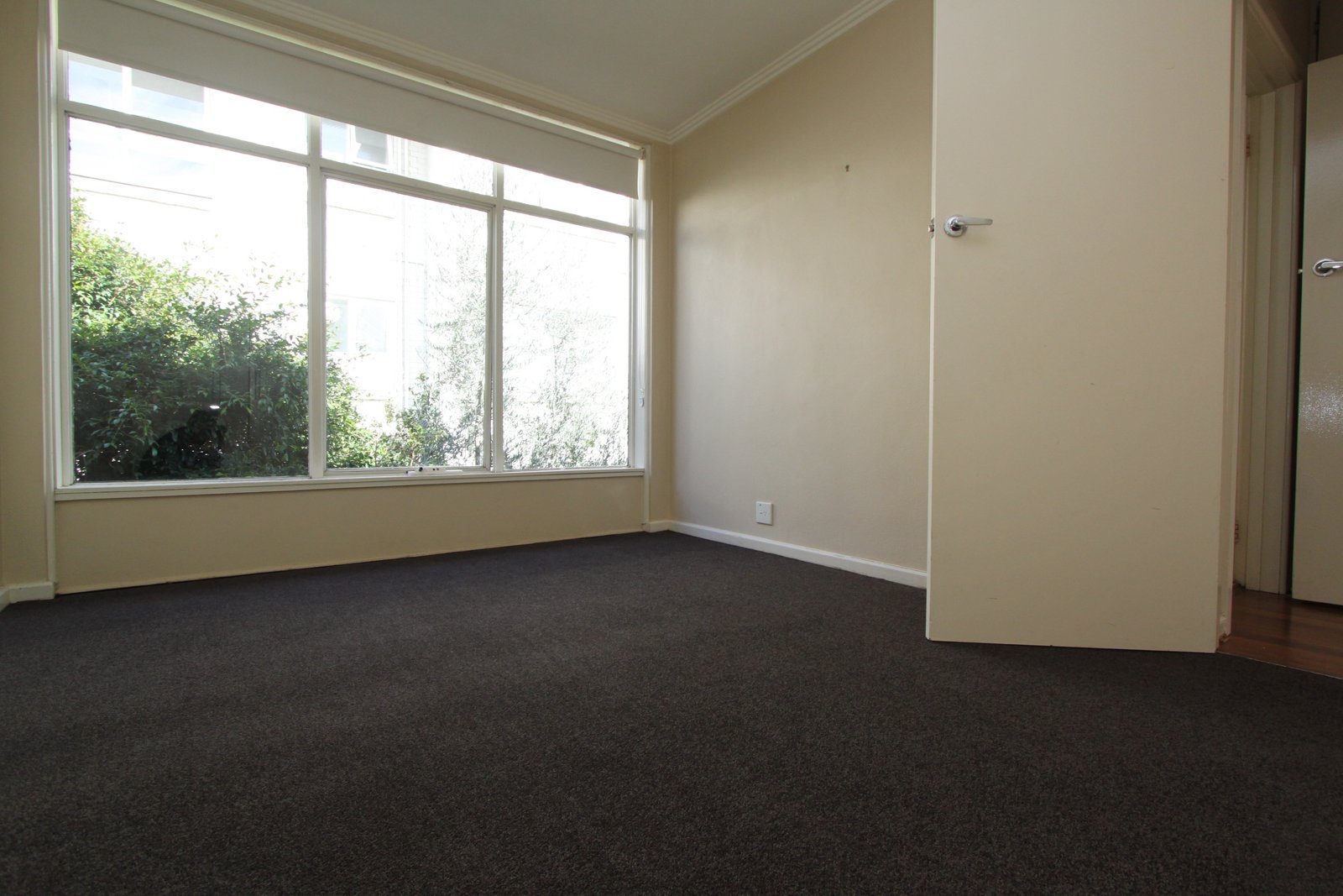 Real Estate and Property in 5/11A Pine Avenue, Elwood, VIC