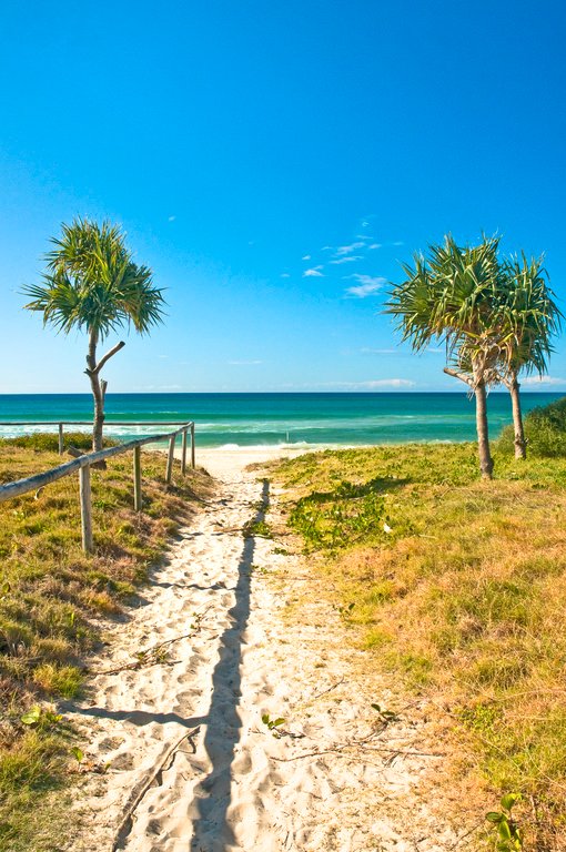 5/1245 Gold Coast Highway PALM BEACH 5