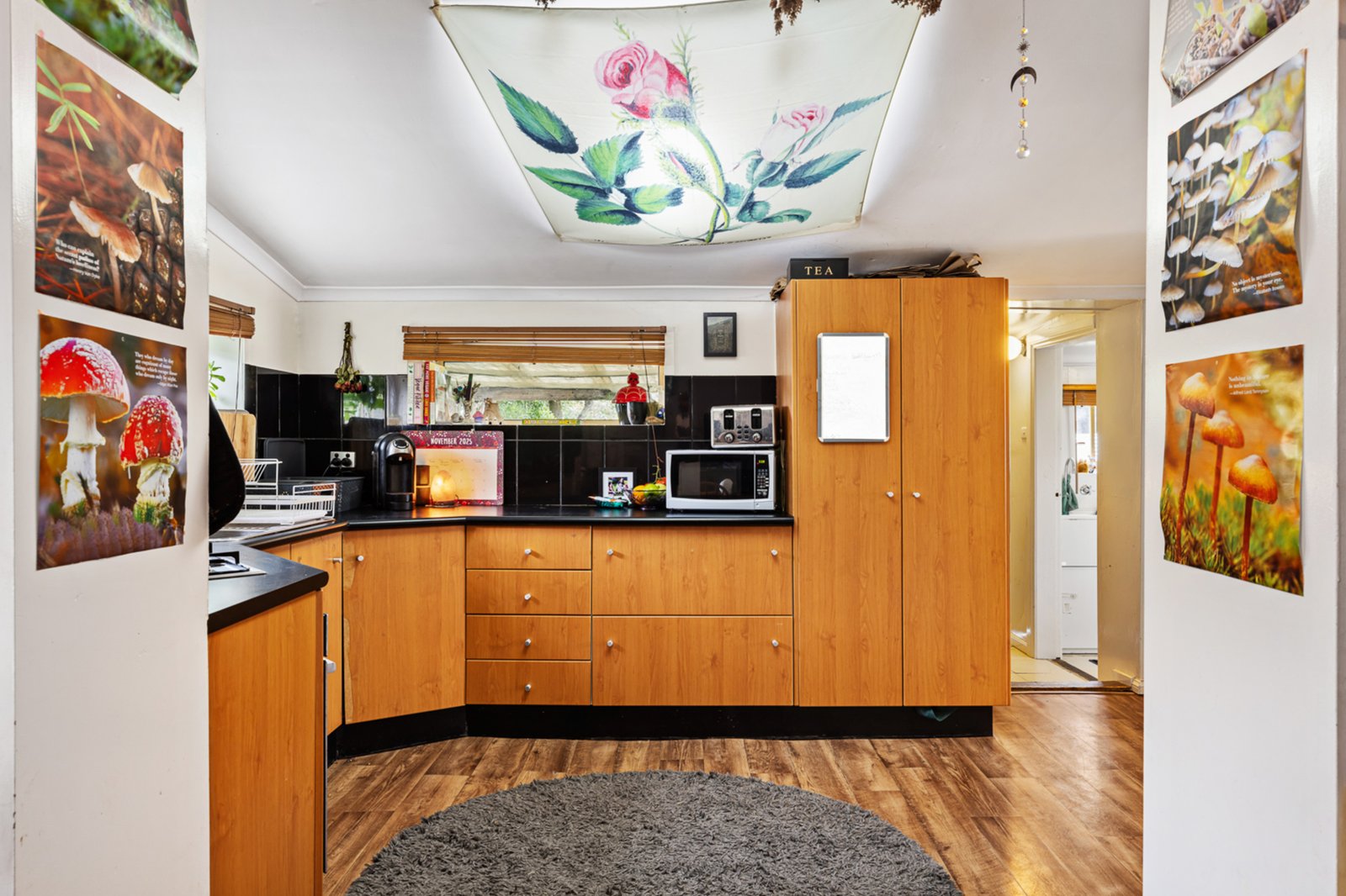 Gallery: 513 Drummond Street South