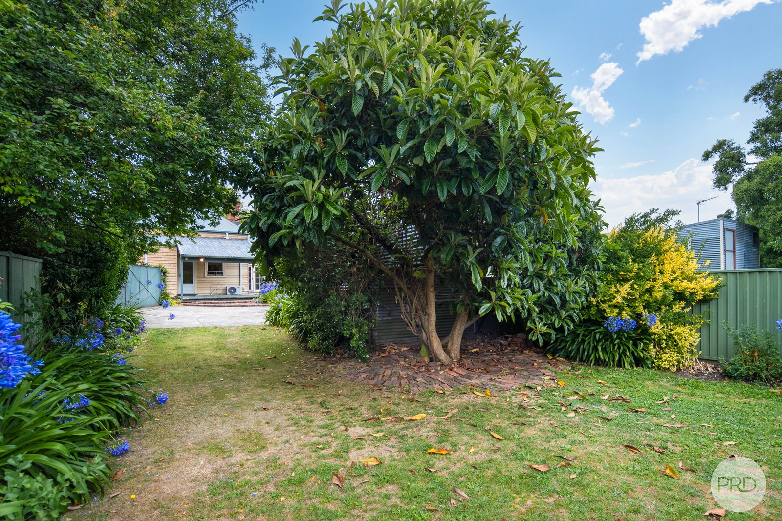 513 Lydiard Street North SOLDIERS HILL 12