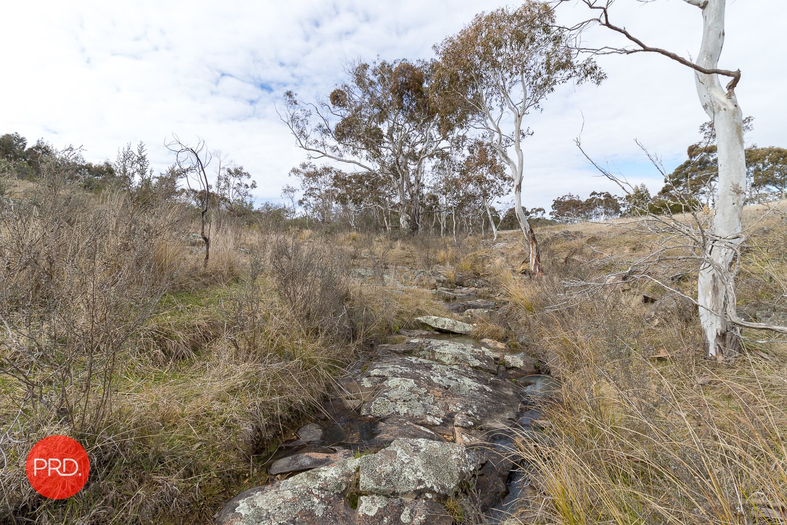 514 Denley Drive WAMBOIN 23