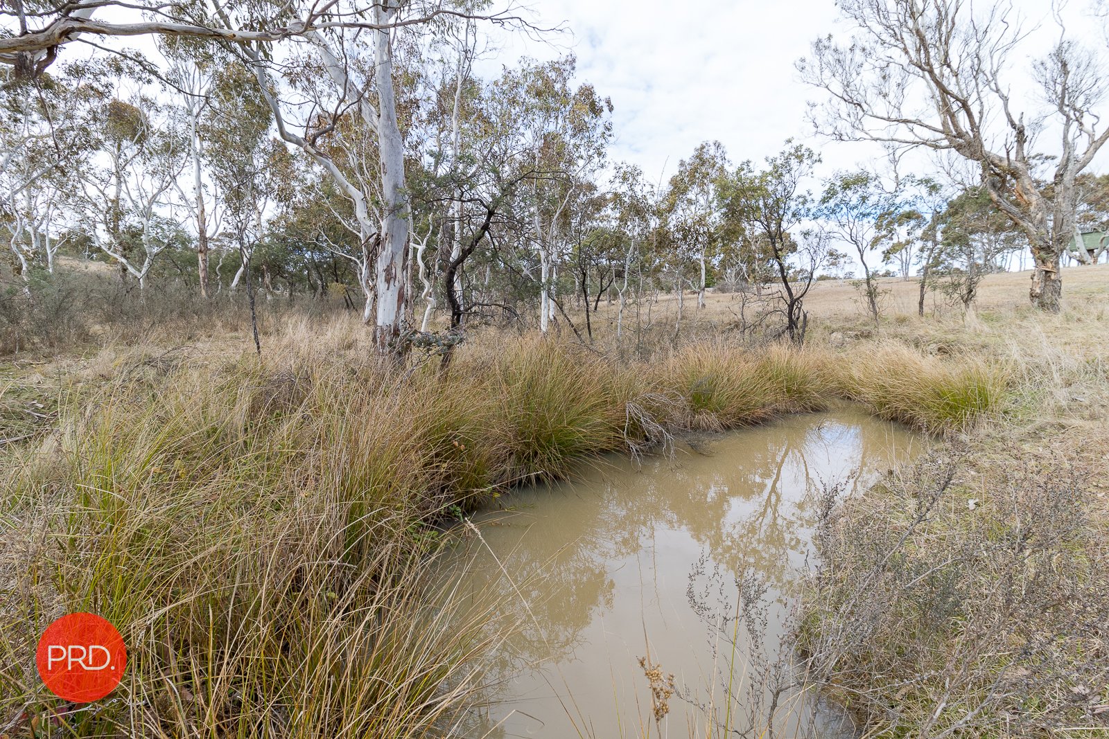 514 Denley Drive WAMBOIN 28