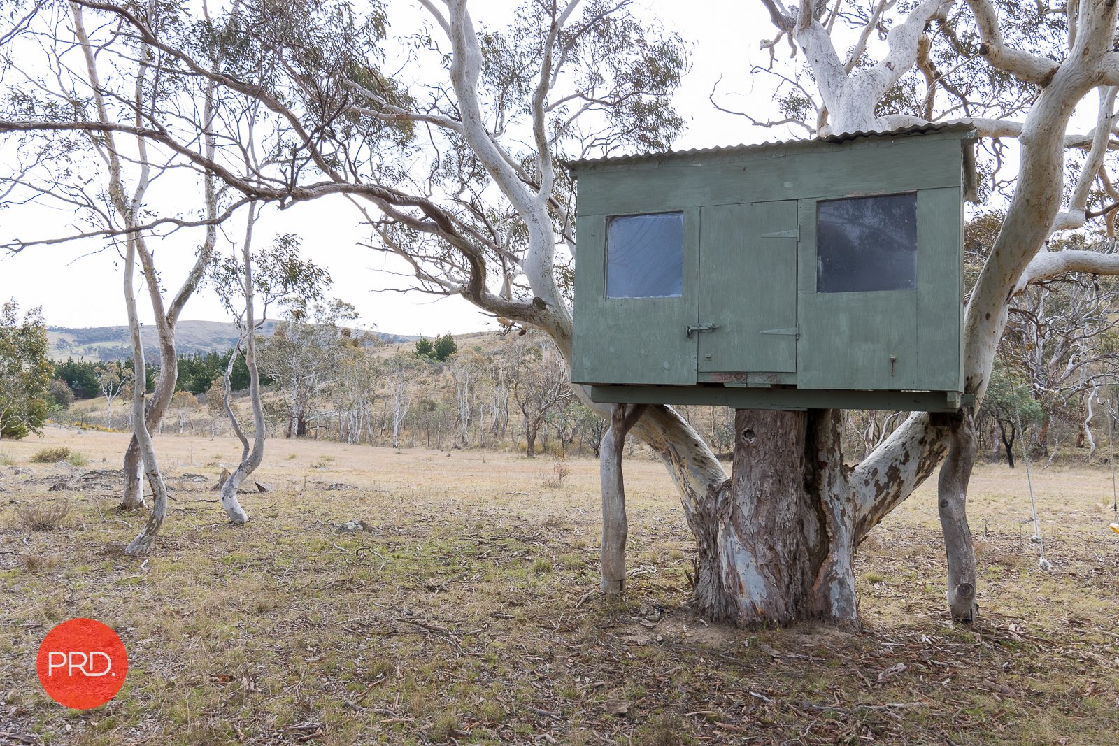 514 Denley Drive WAMBOIN 33