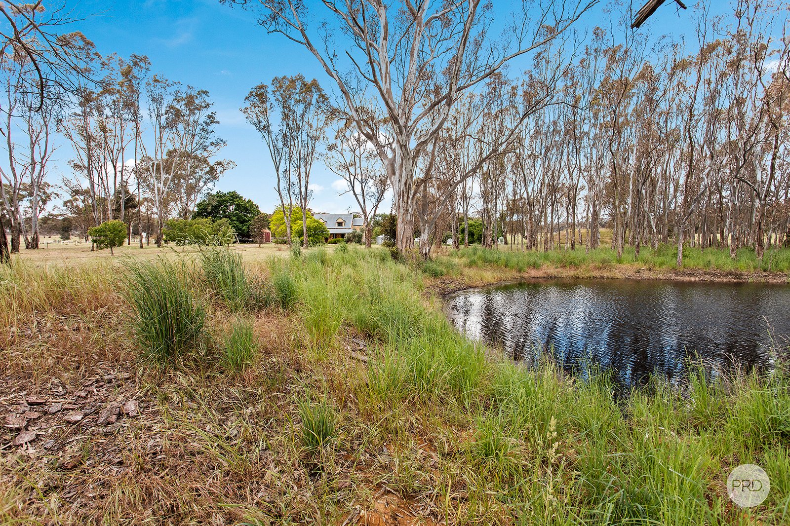 514 Muckleford-Walmer Road MUCKLEFORD 18