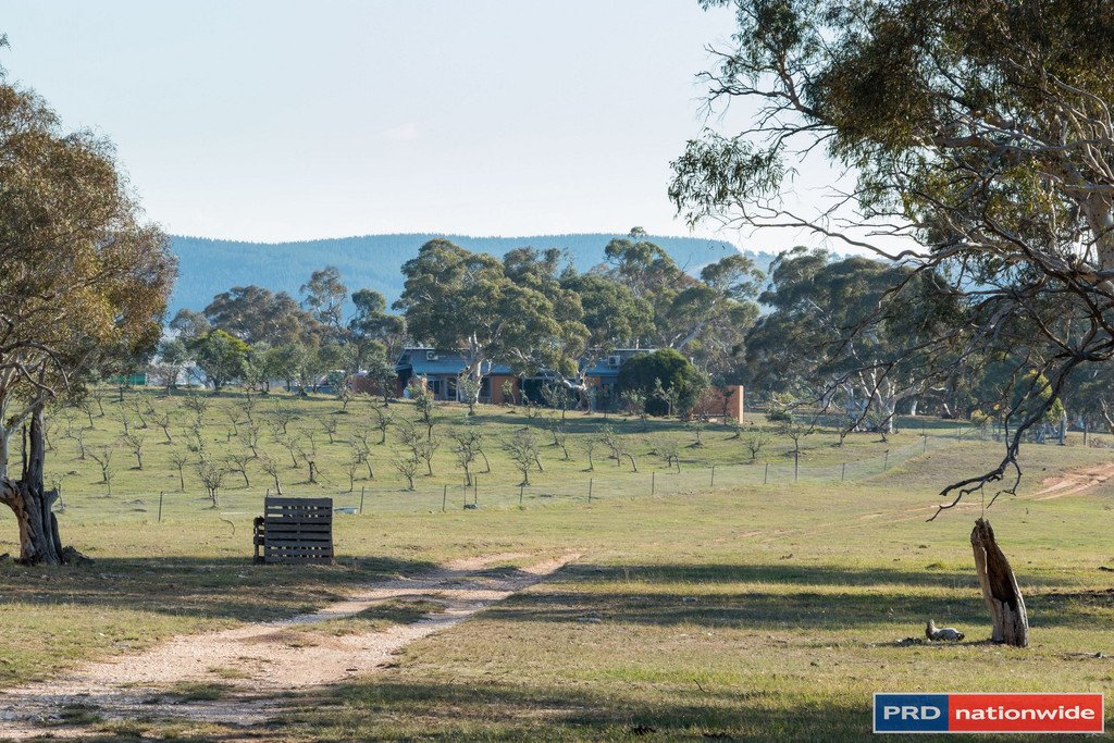515 Hoskinstown Road BUNGENDORE 5