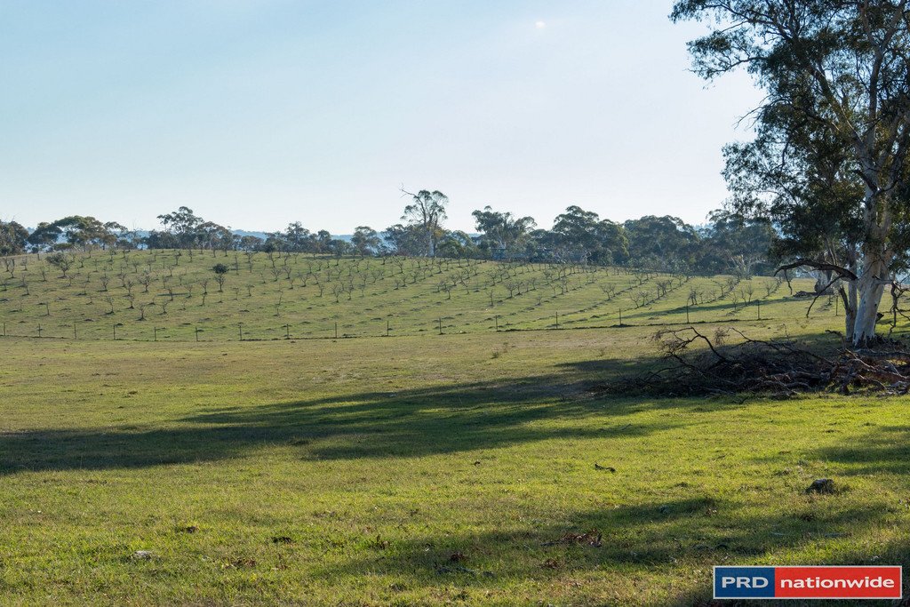 515 Hoskinstown Road BUNGENDORE 6
