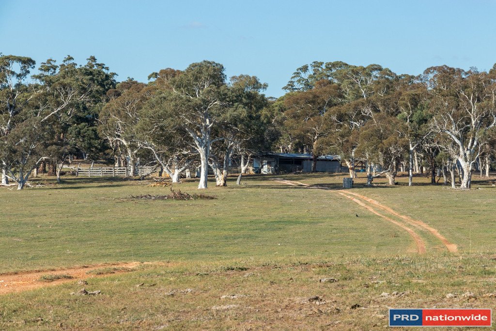 515 Hoskinstown Road BUNGENDORE 7