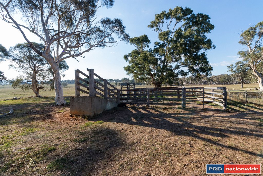 515 Hoskinstown Road BUNGENDORE 8