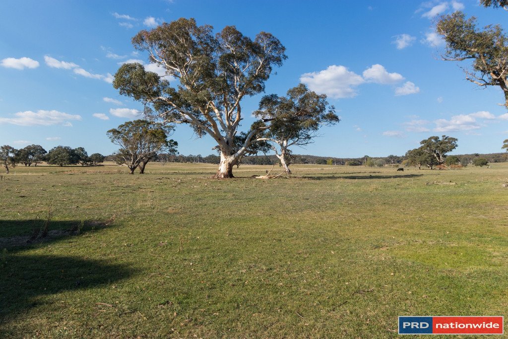 515 Hoskinstown Road BUNGENDORE 10