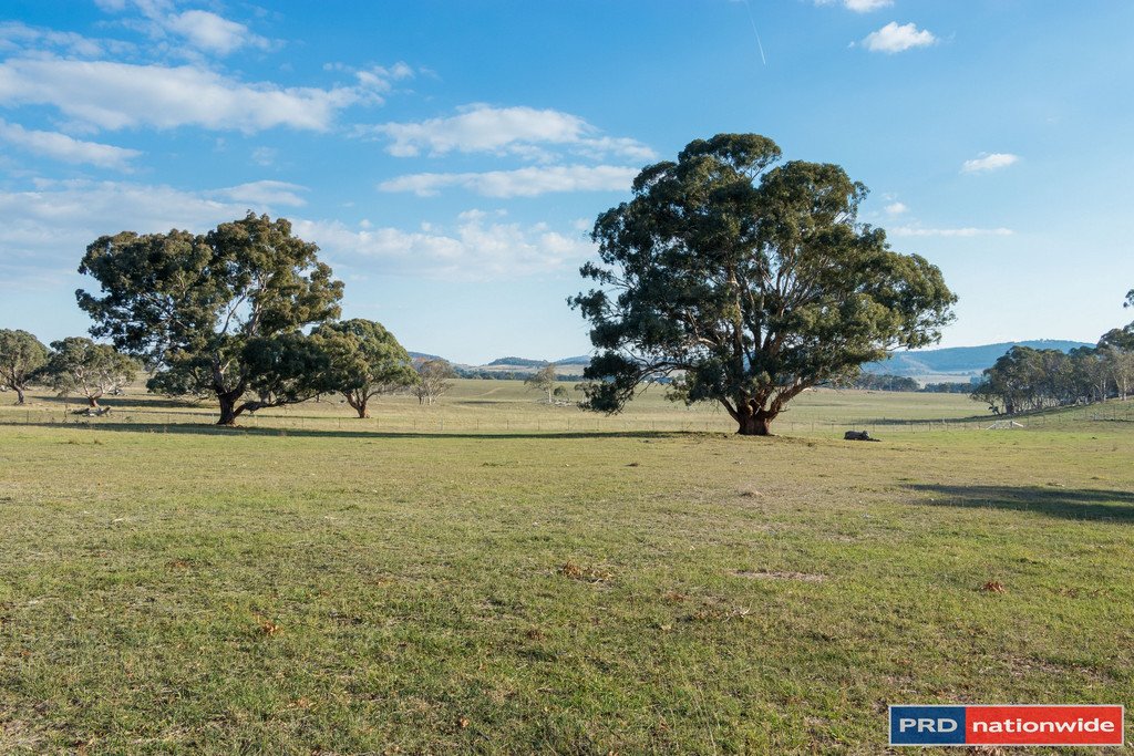 515 Hoskinstown Road BUNGENDORE 11