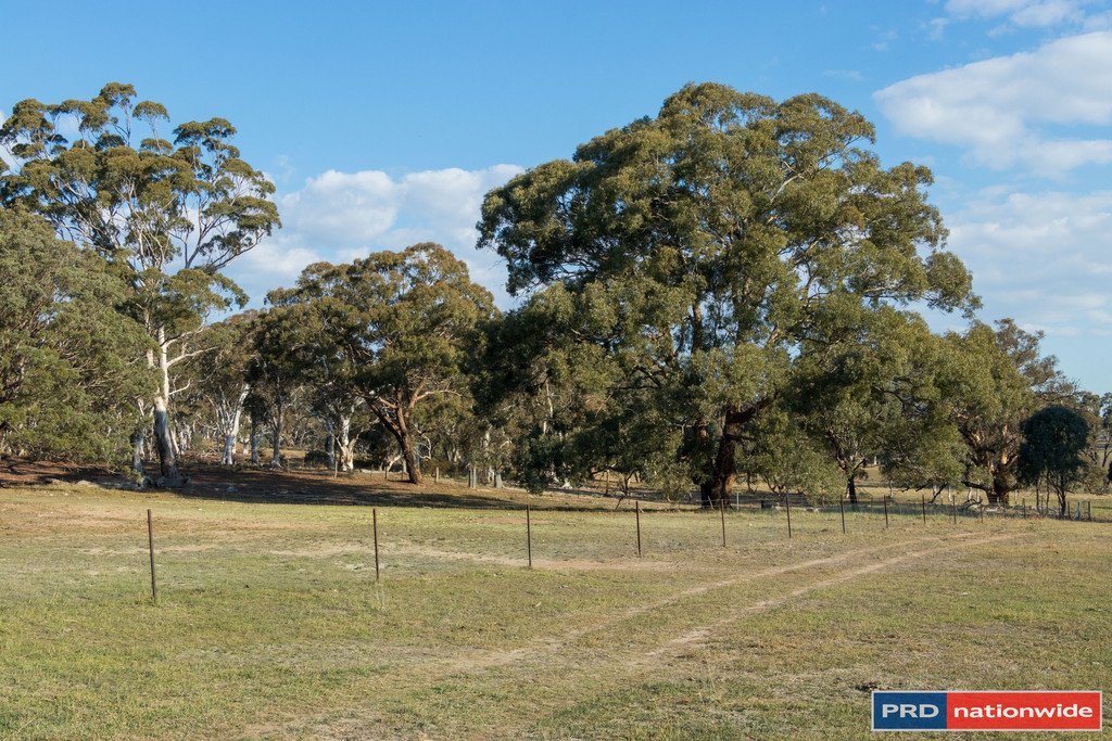 515 Hoskinstown Road BUNGENDORE 13