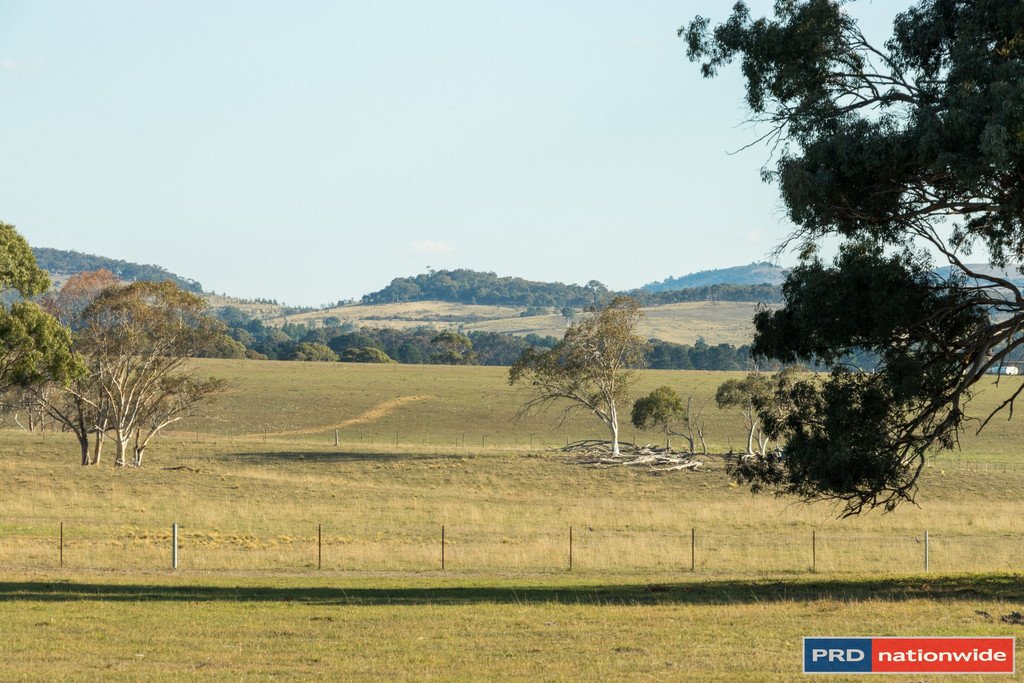 515 Hoskinstown Road BUNGENDORE 14