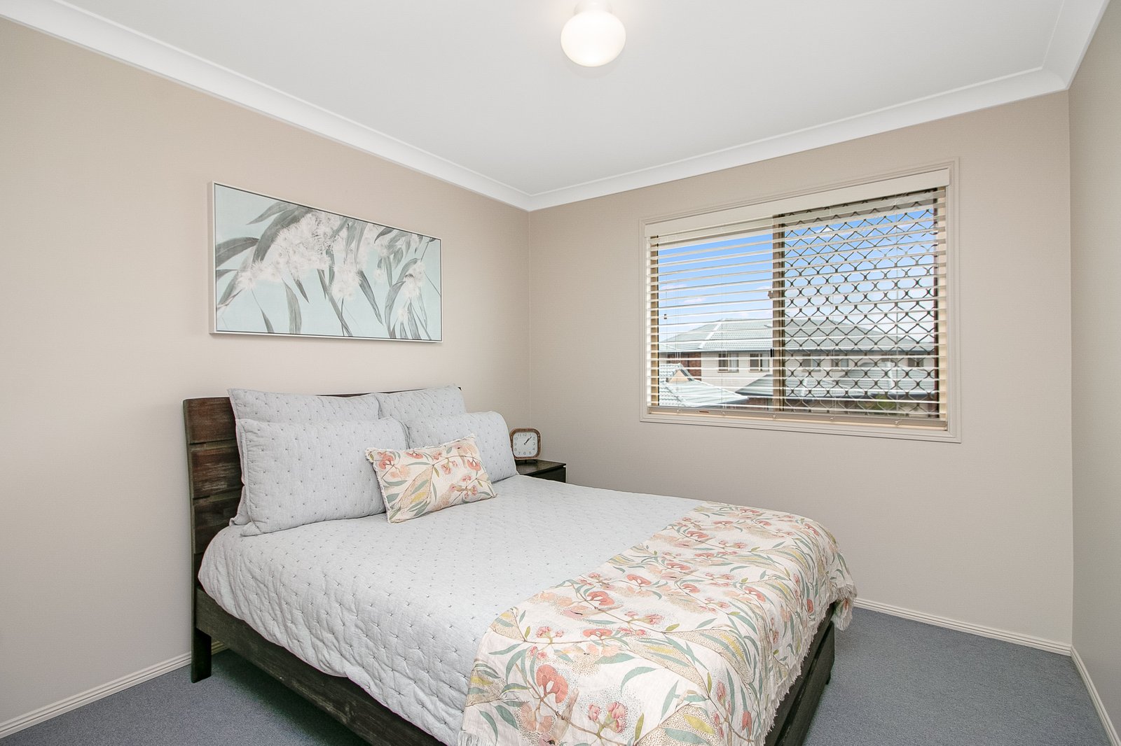 5/16 Blue Jay Circuit KINGSCLIFF 6
