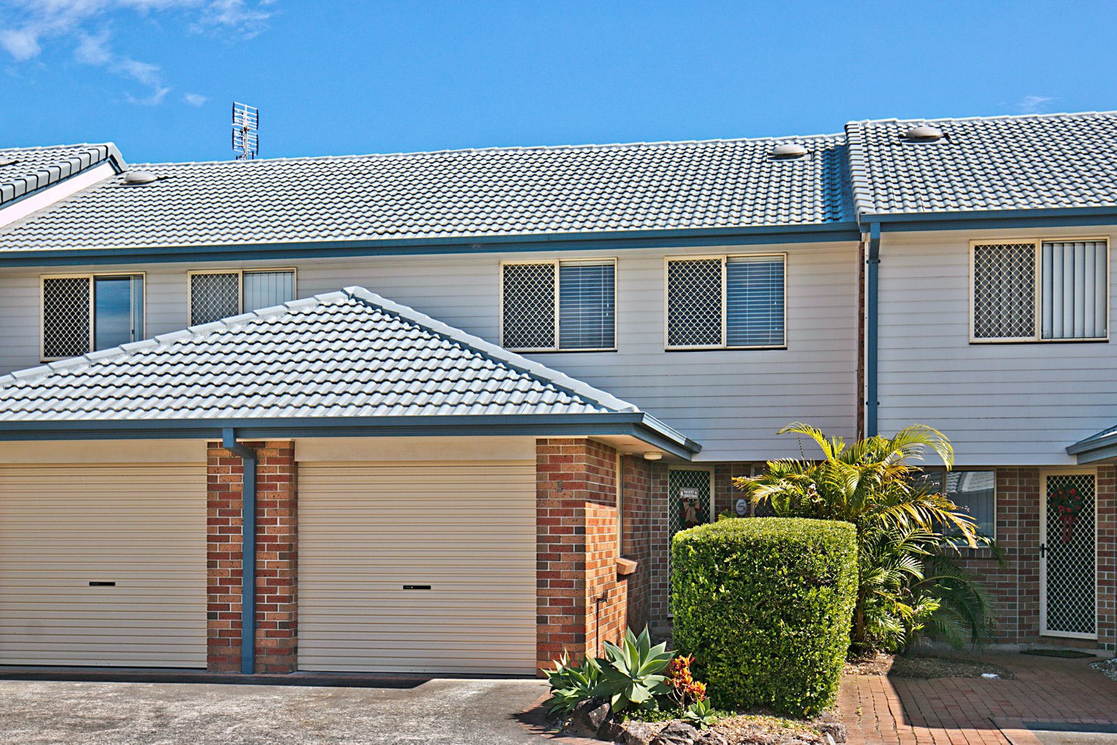 5/16 Blue Jay Circuit KINGSCLIFF 10