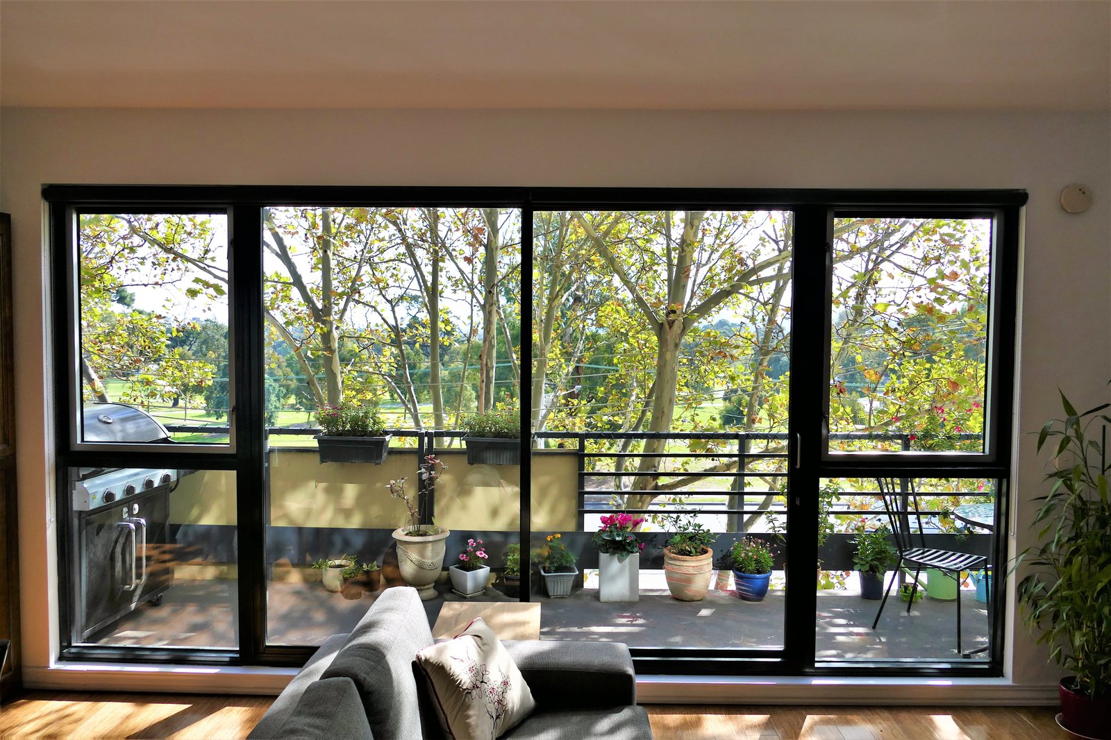 Gallery: 5/167 Fitzroy Street