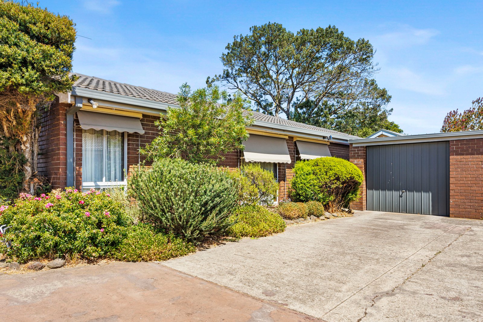 5/17 Van Ness Avenue, Mornington, 3931