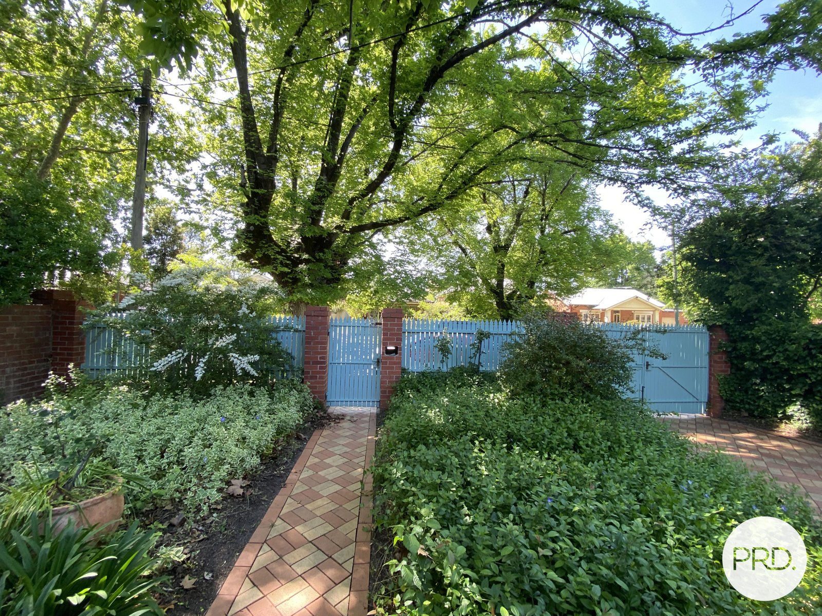 517 Wilcox Street ALBURY 2