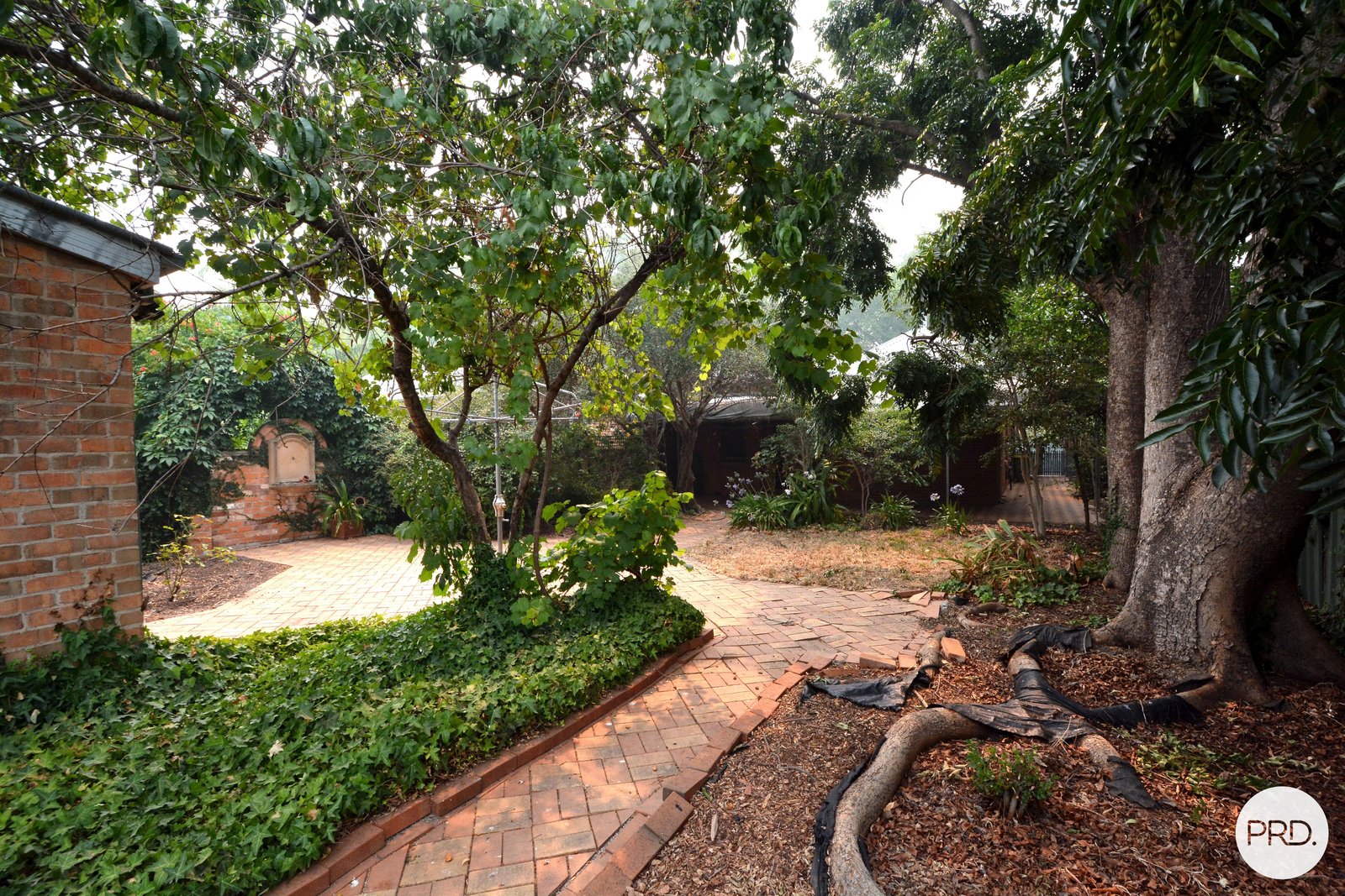 517 Wilcox Street ALBURY 7