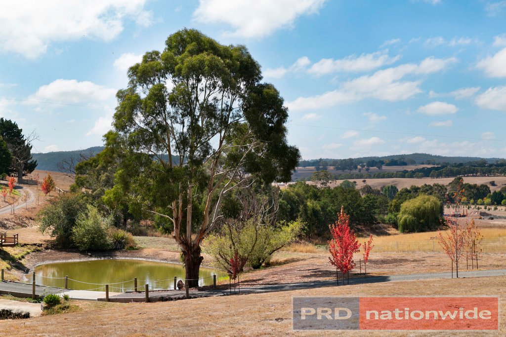 519 Ballan-Greendale Road BALLAN 13