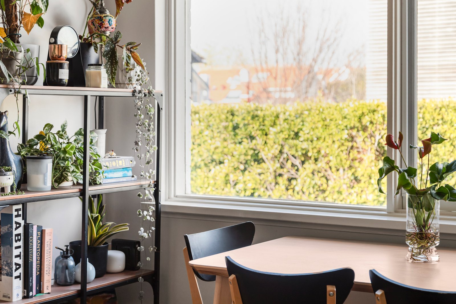 Real Estate and Property in 5/1B Regent Street, Elsternwick, VIC