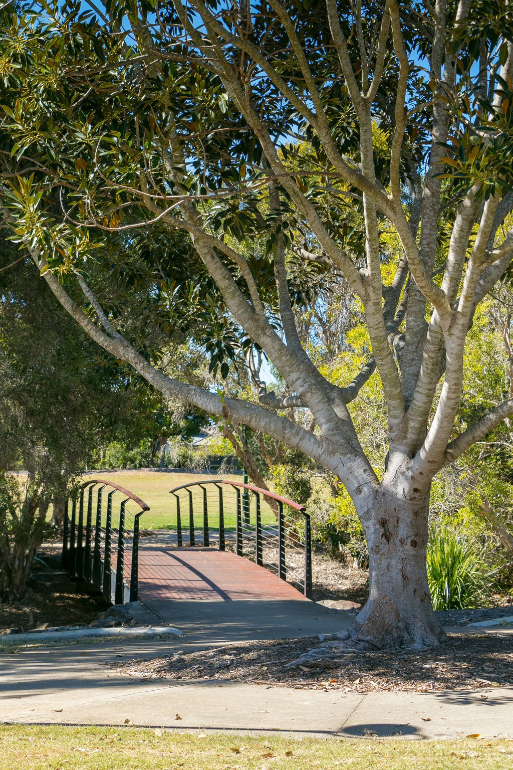 52 Bay Park Road WONDUNNA 2