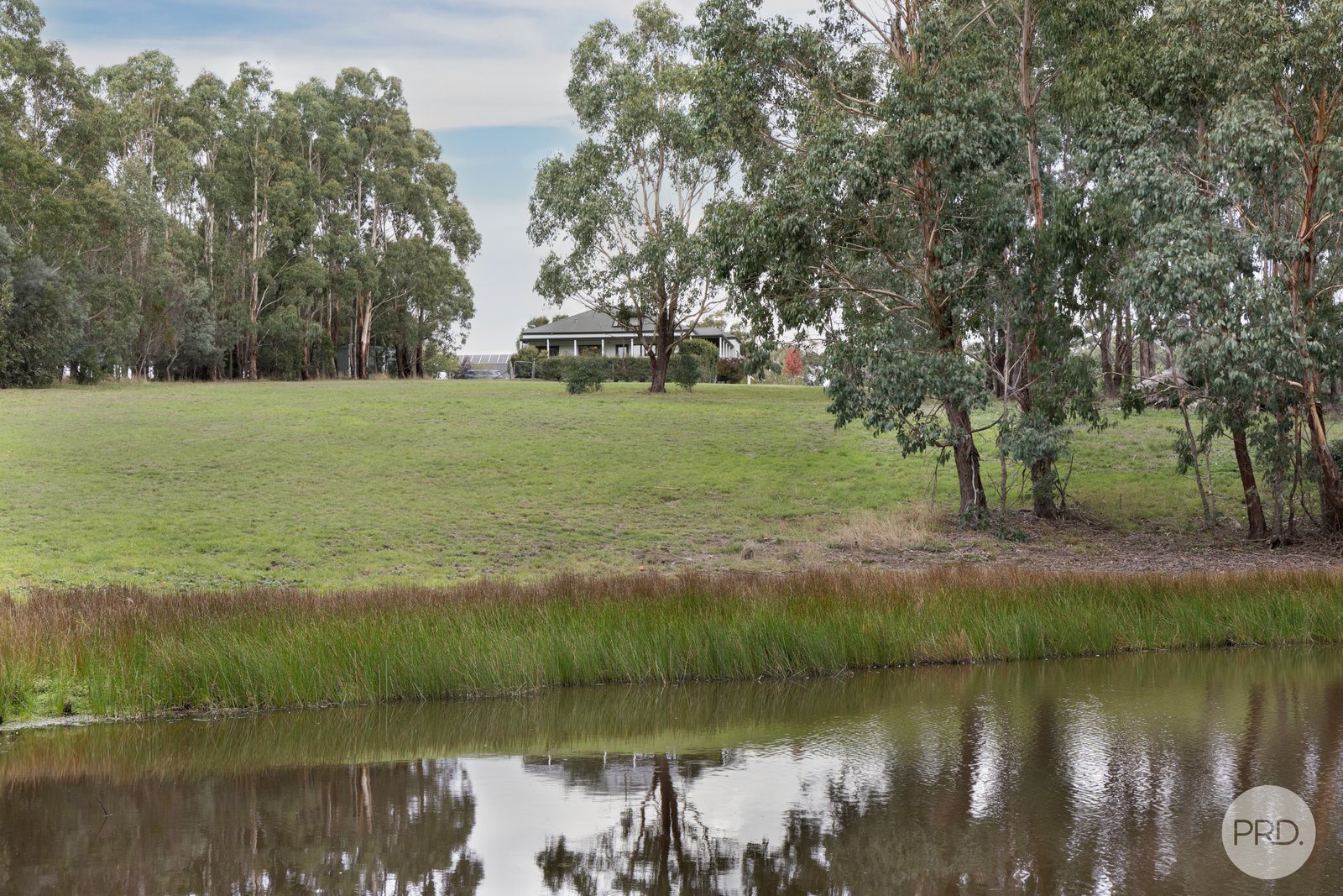 52 Callaghans Lane GORDON 17