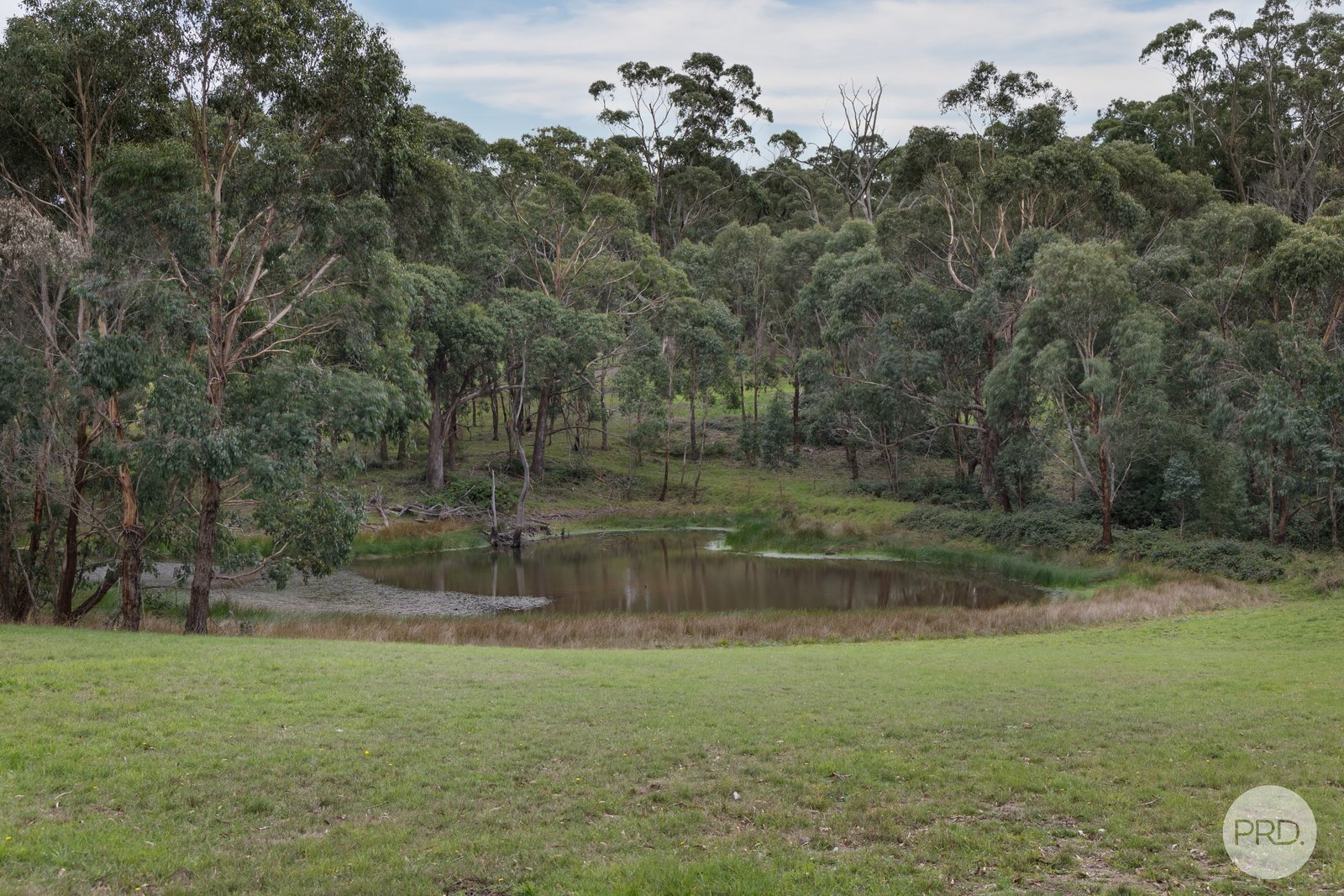 52 Callaghans Lane GORDON 19