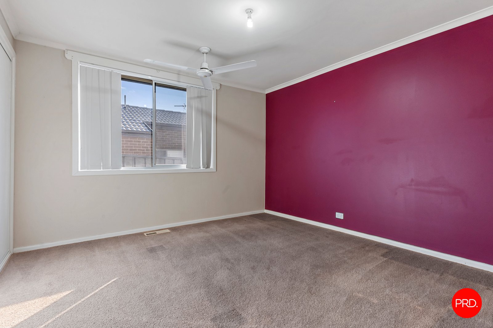 52 Chapple Street CALIFORNIA GULLY 10