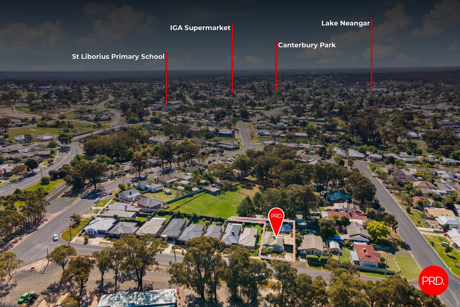 52 Chapple Street CALIFORNIA GULLY 19