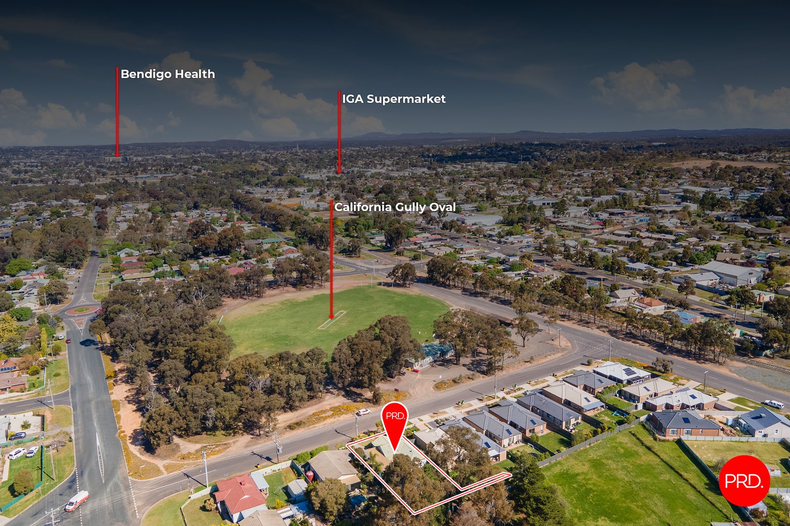 52 Chapple Street CALIFORNIA GULLY 20