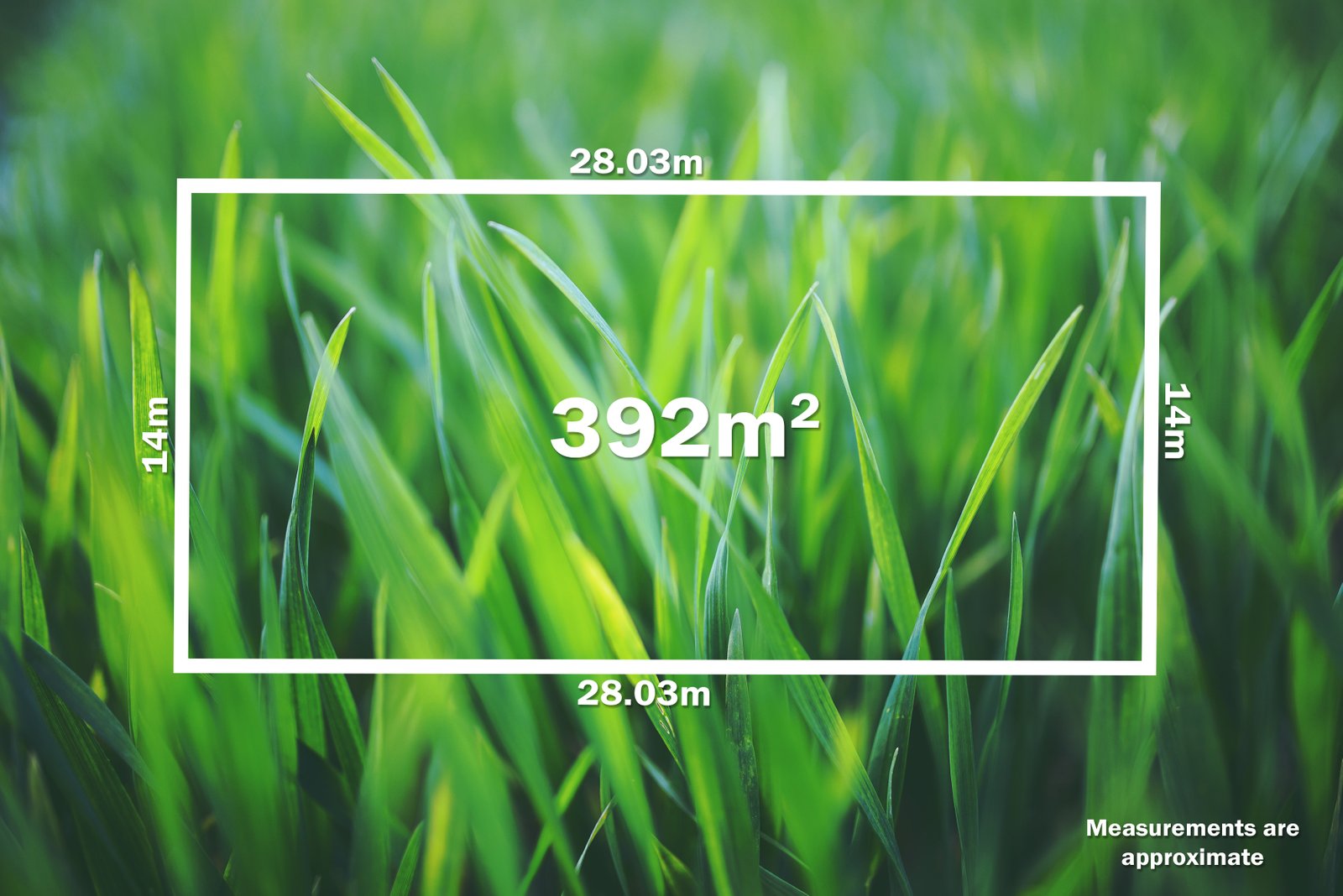 52 Cormorant Grange WINTER VALLEY 1
