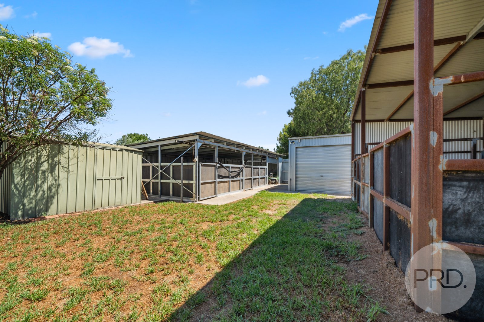 52 Evans Street WAGGA WAGGA 12