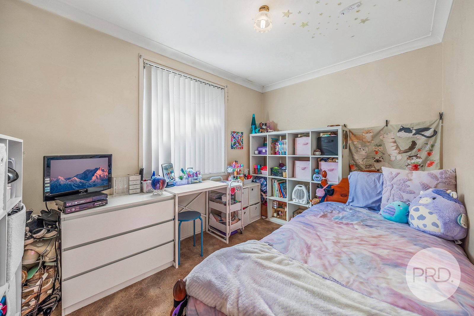 52 Fergusson Street GLENFIELD 5