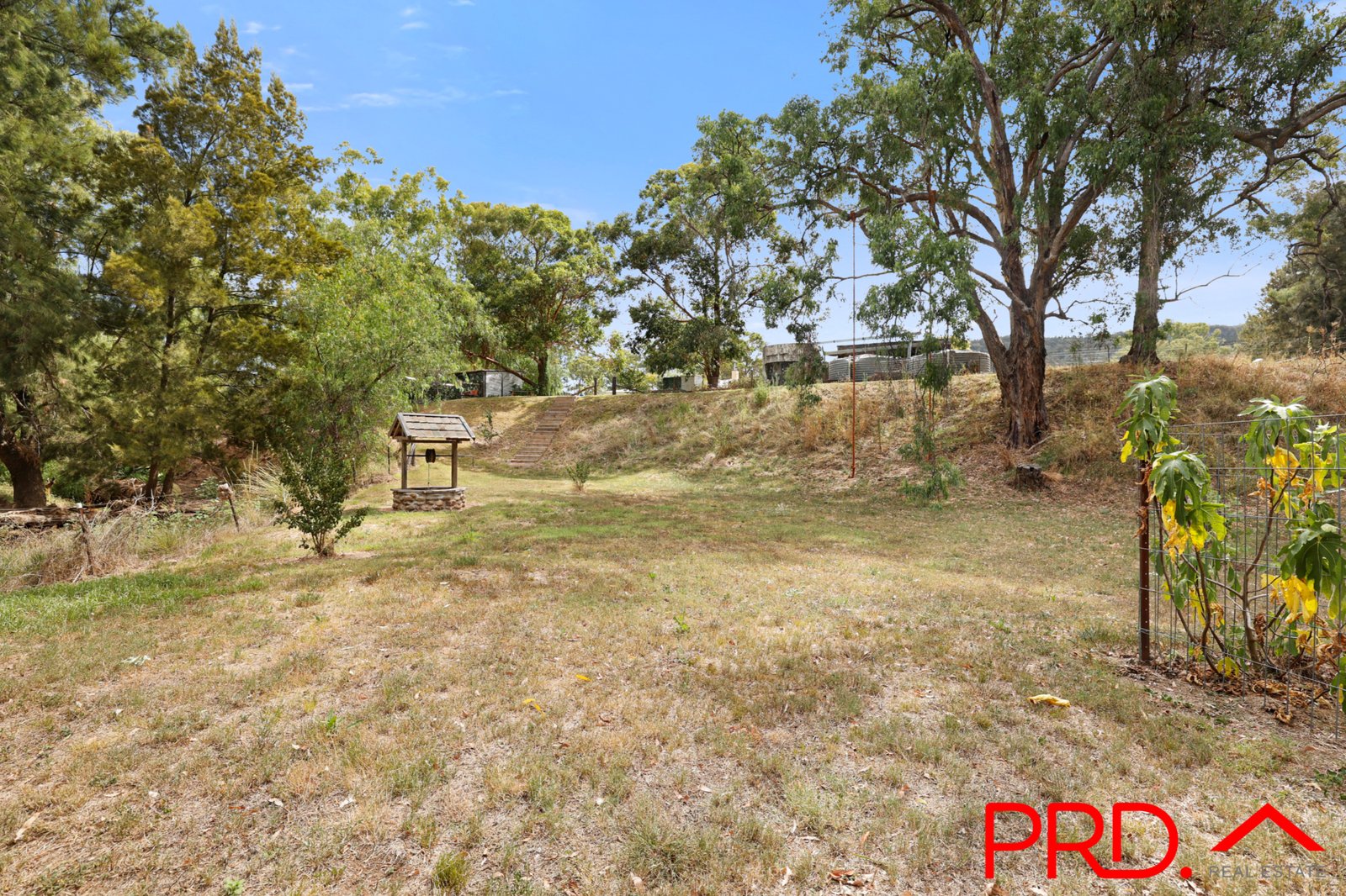 52 Glenbrook Road CURRABUBULA 18