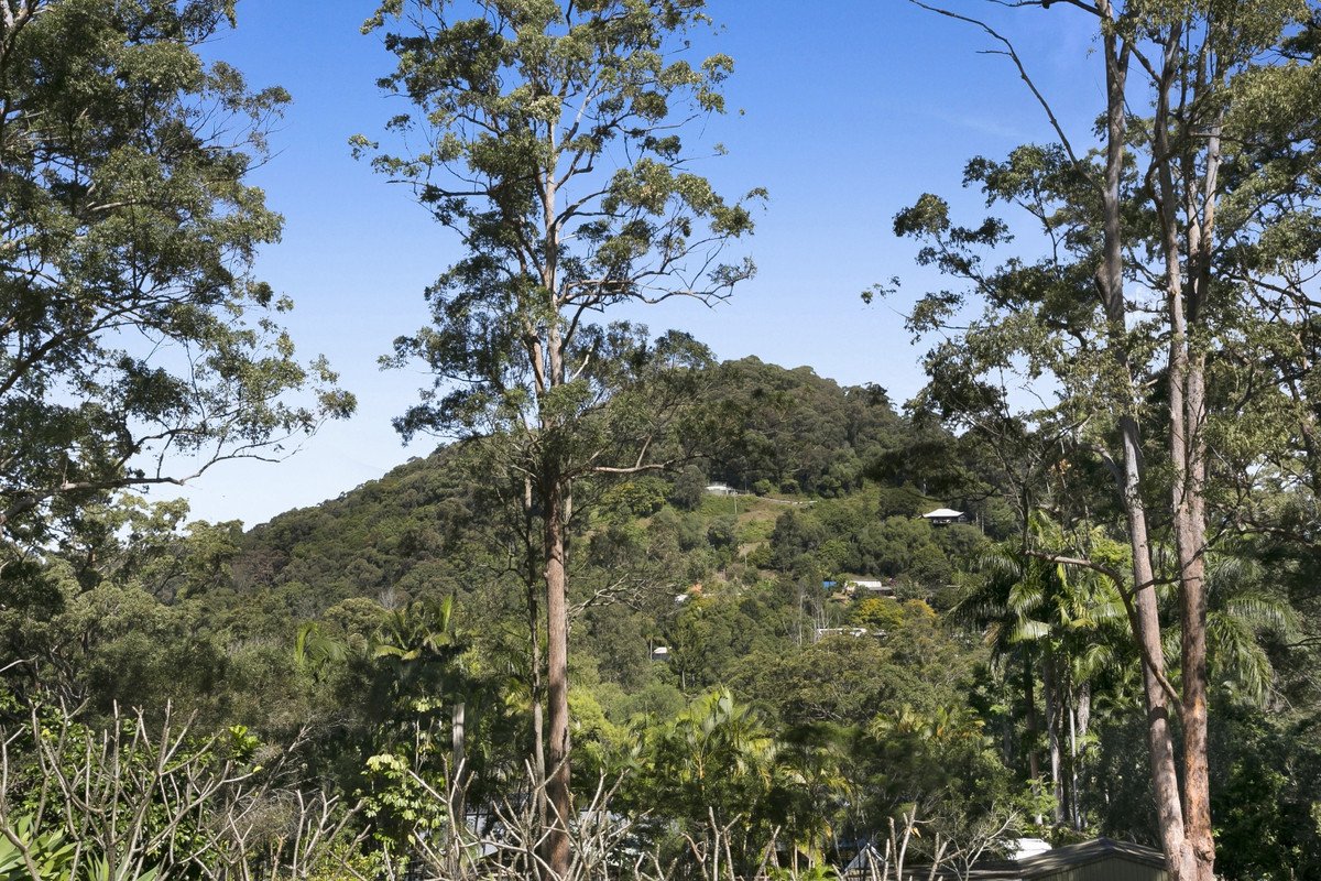 52 Goolabah Drive Tallebudgera 17