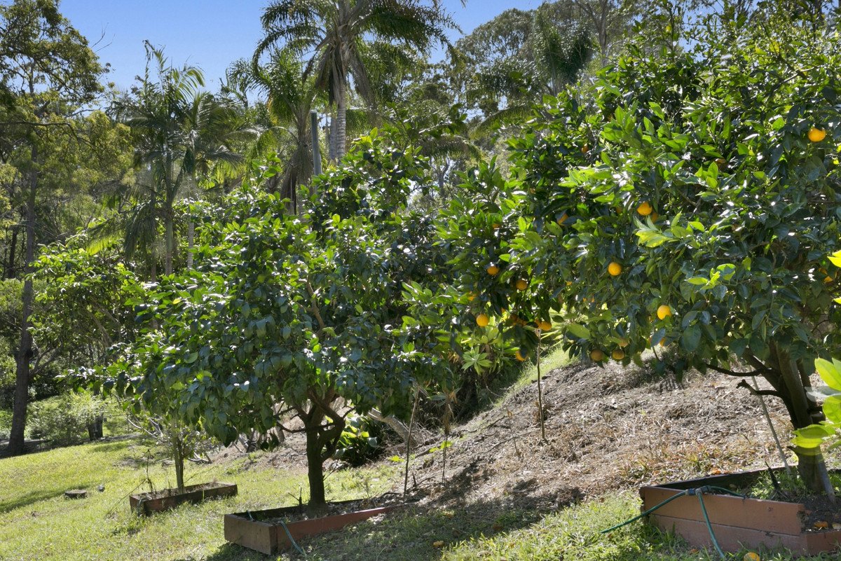 52 Goolabah Drive Tallebudgera 19