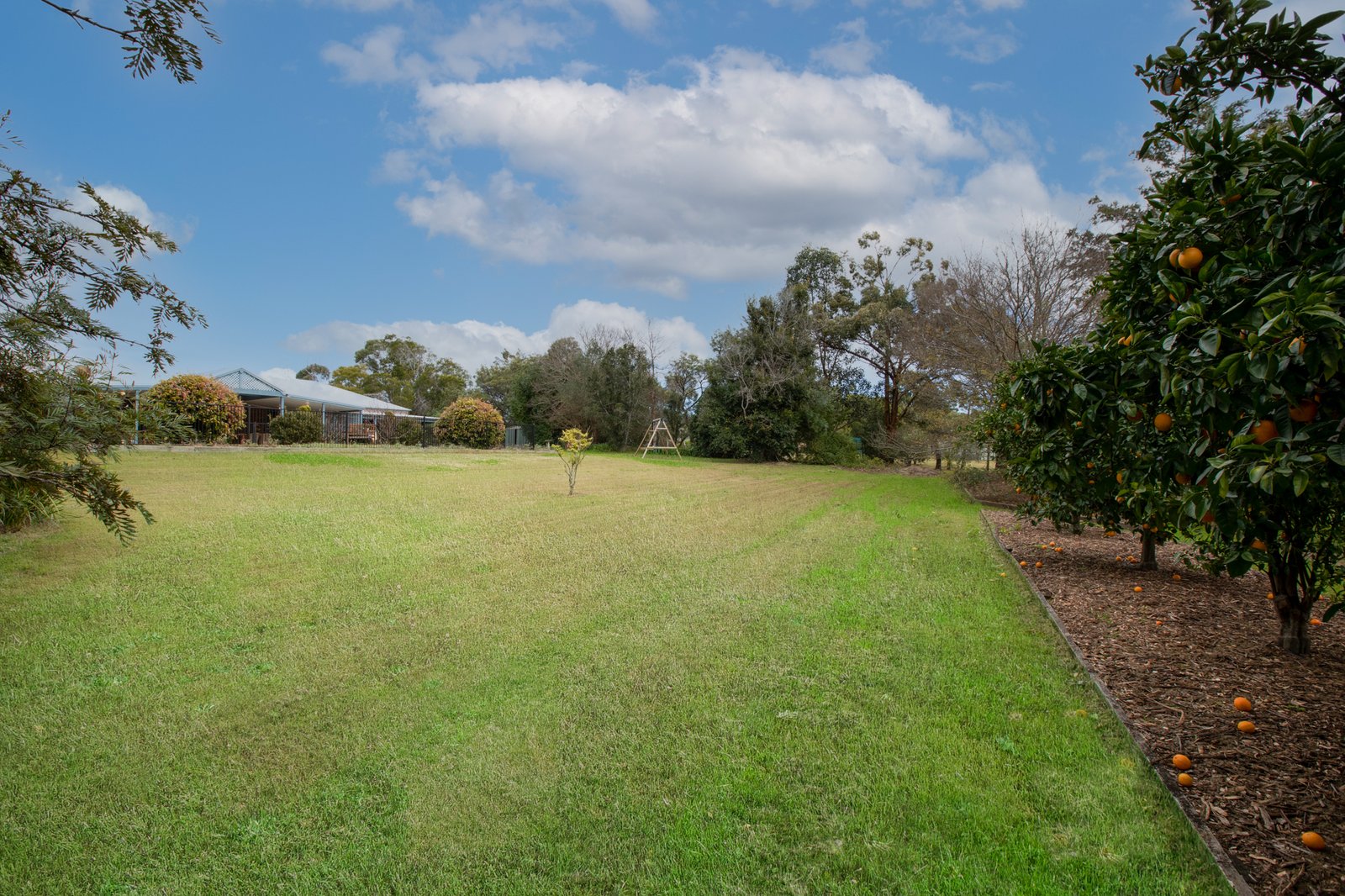 52 Hilldale Drive BOLWARRA HEIGHTS 18