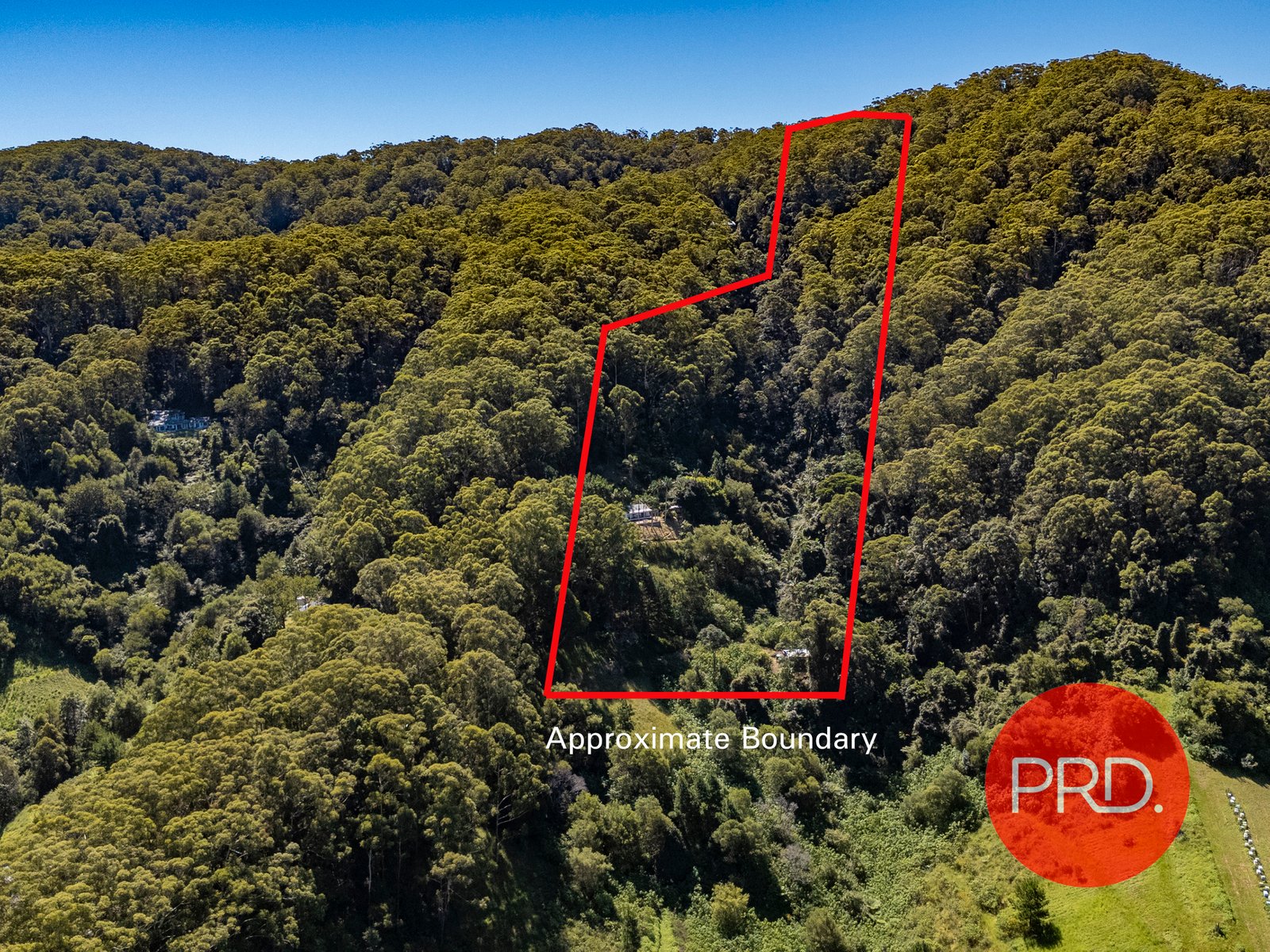 52 Lovetts Road KORORA 2