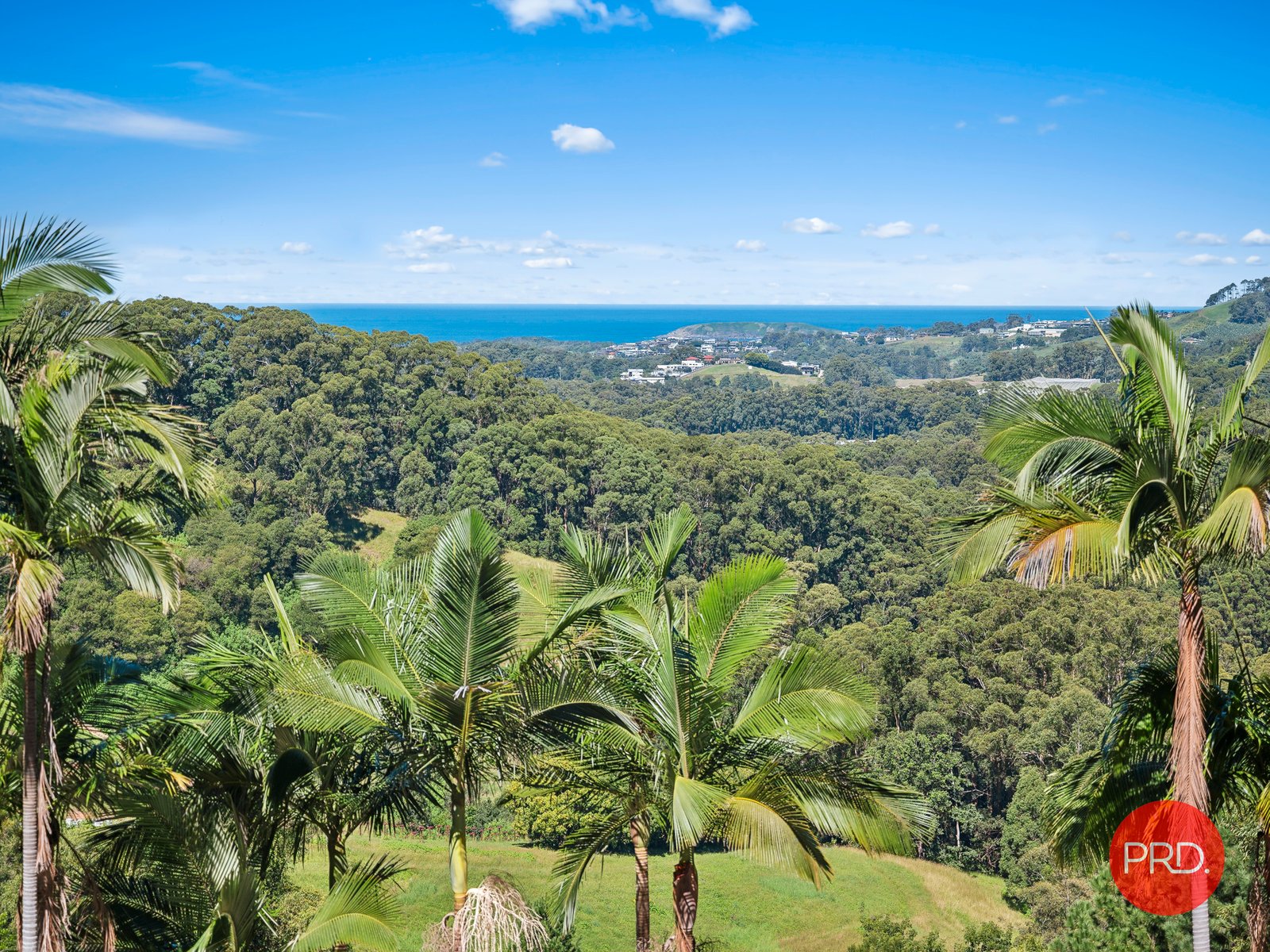 52 Lovetts Road KORORA 4