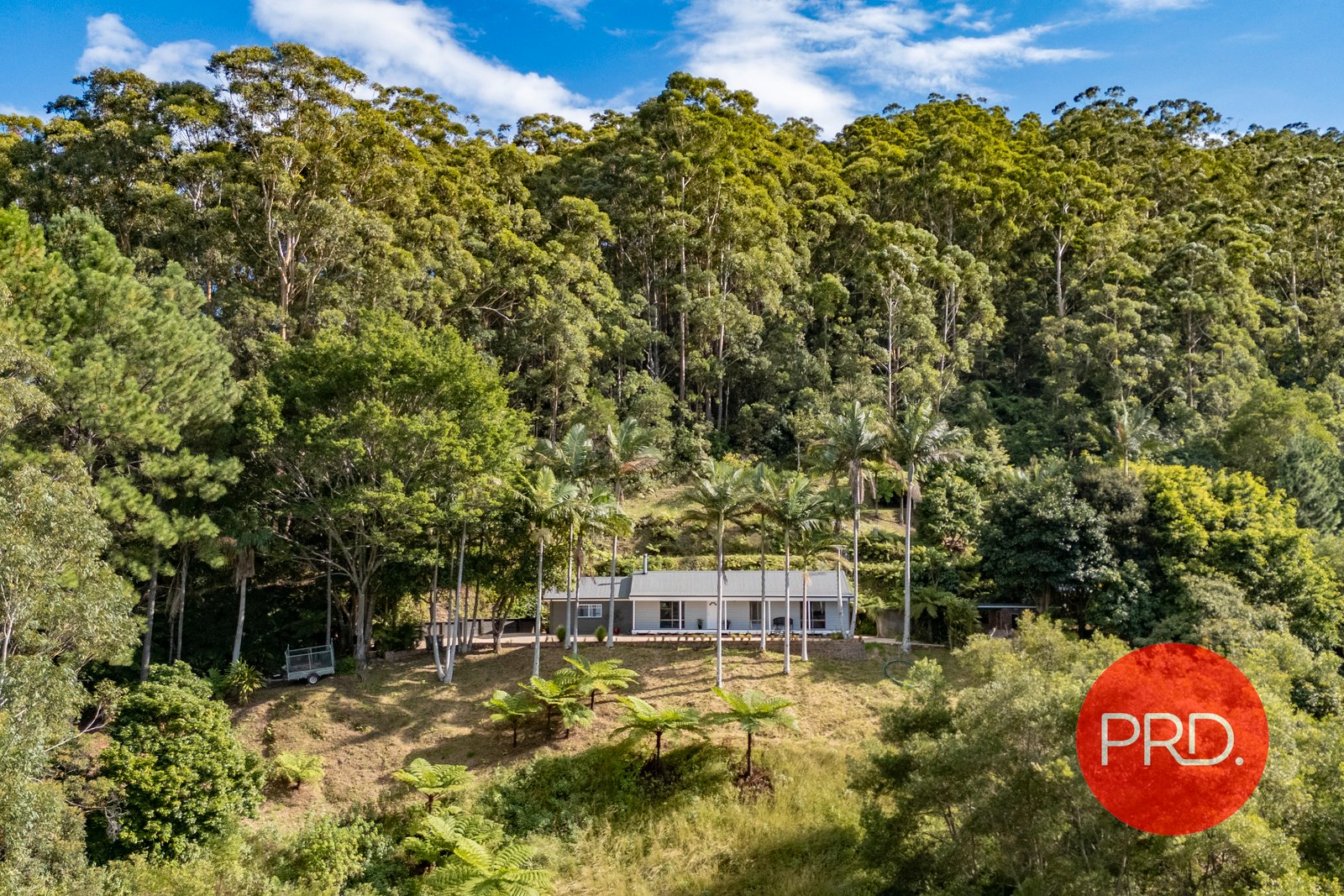 52 Lovetts Road KORORA 23