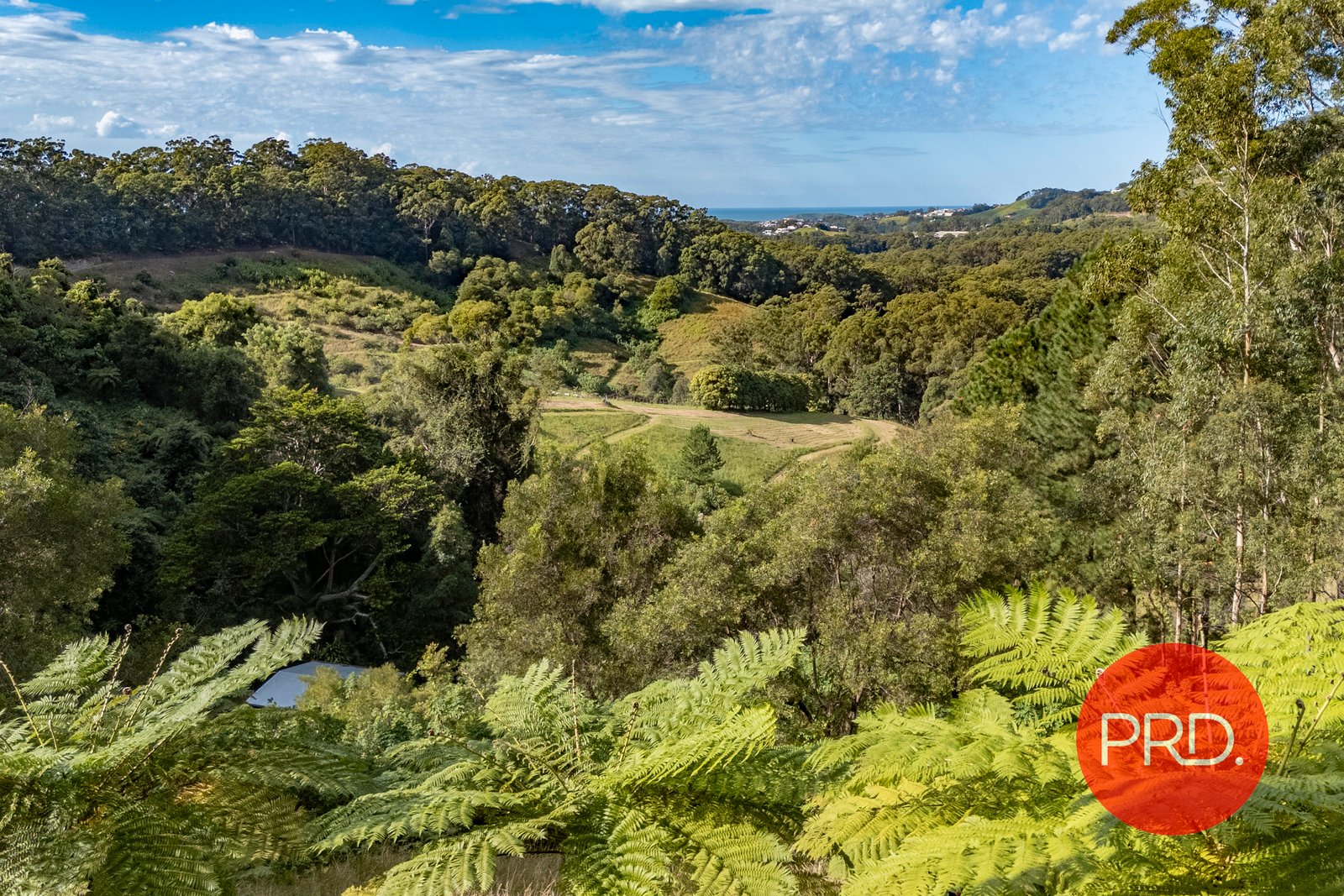 52 Lovetts Road KORORA 24