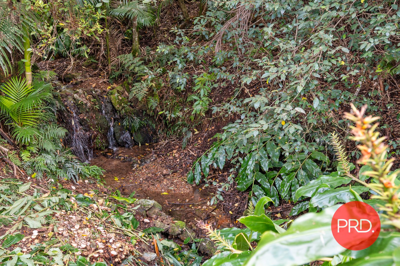 52 Lovetts Road KORORA 25