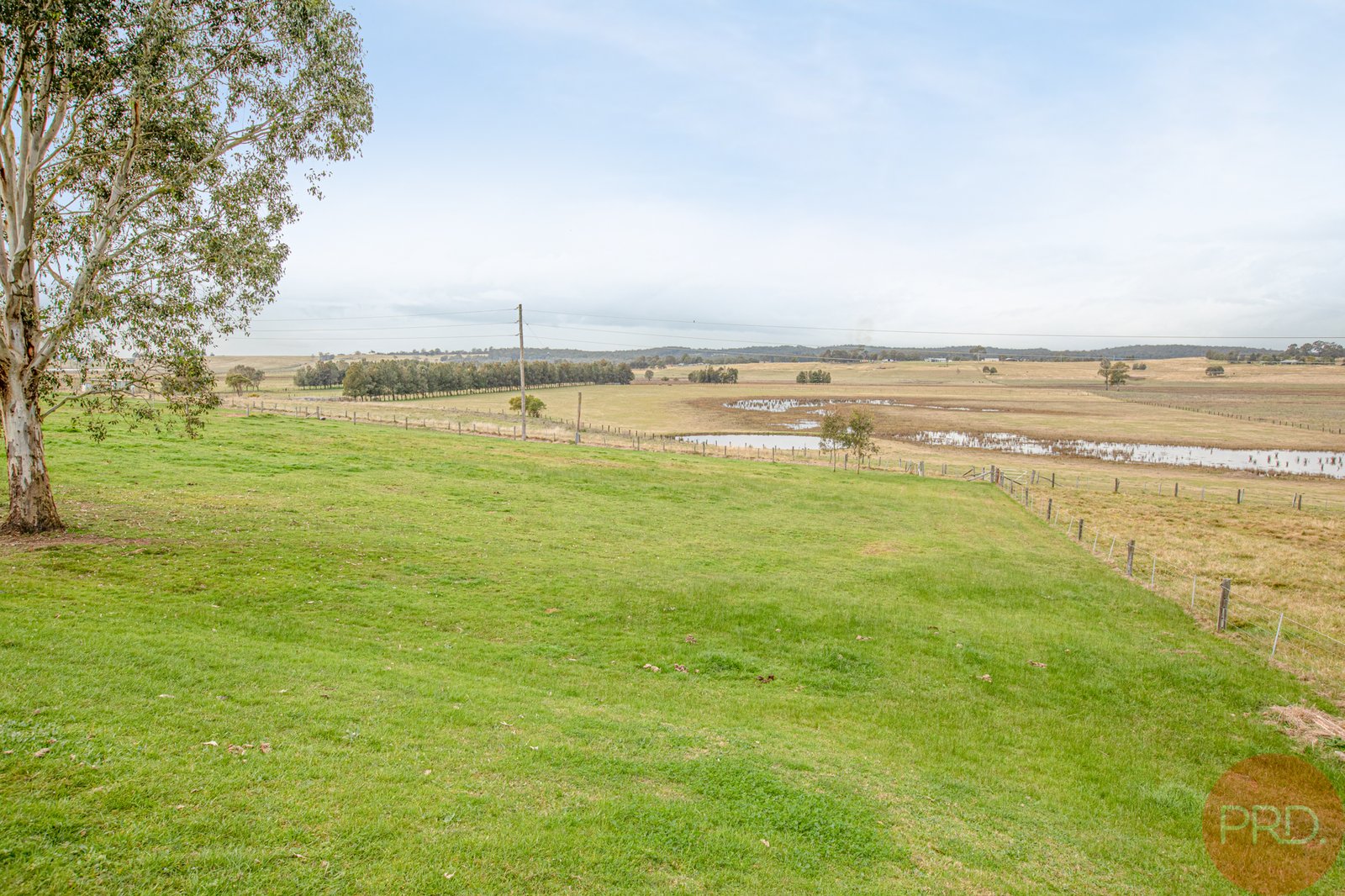 52 Main Road CLIFTLEIGH 9