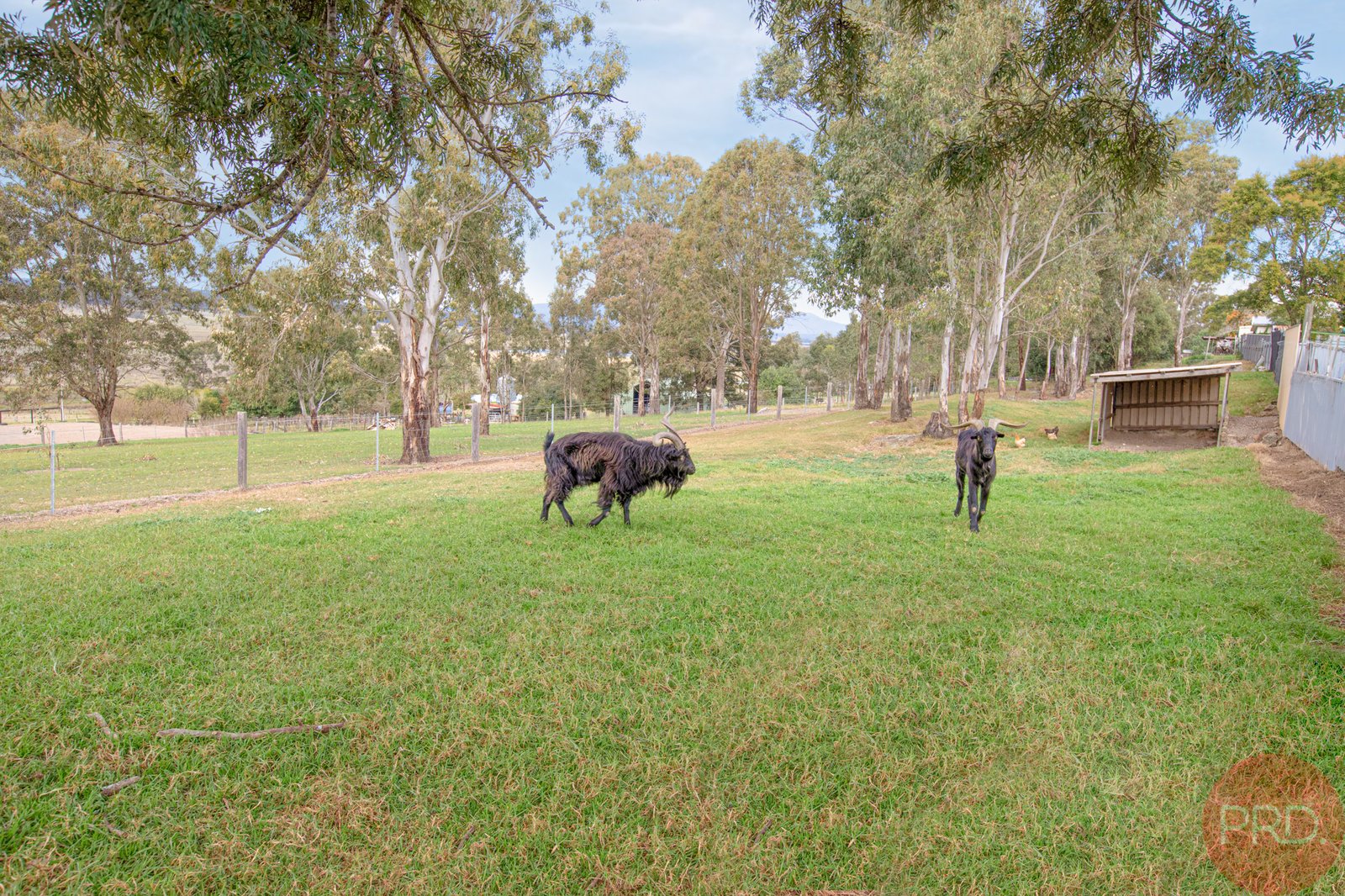 52 Main Road CLIFTLEIGH 27