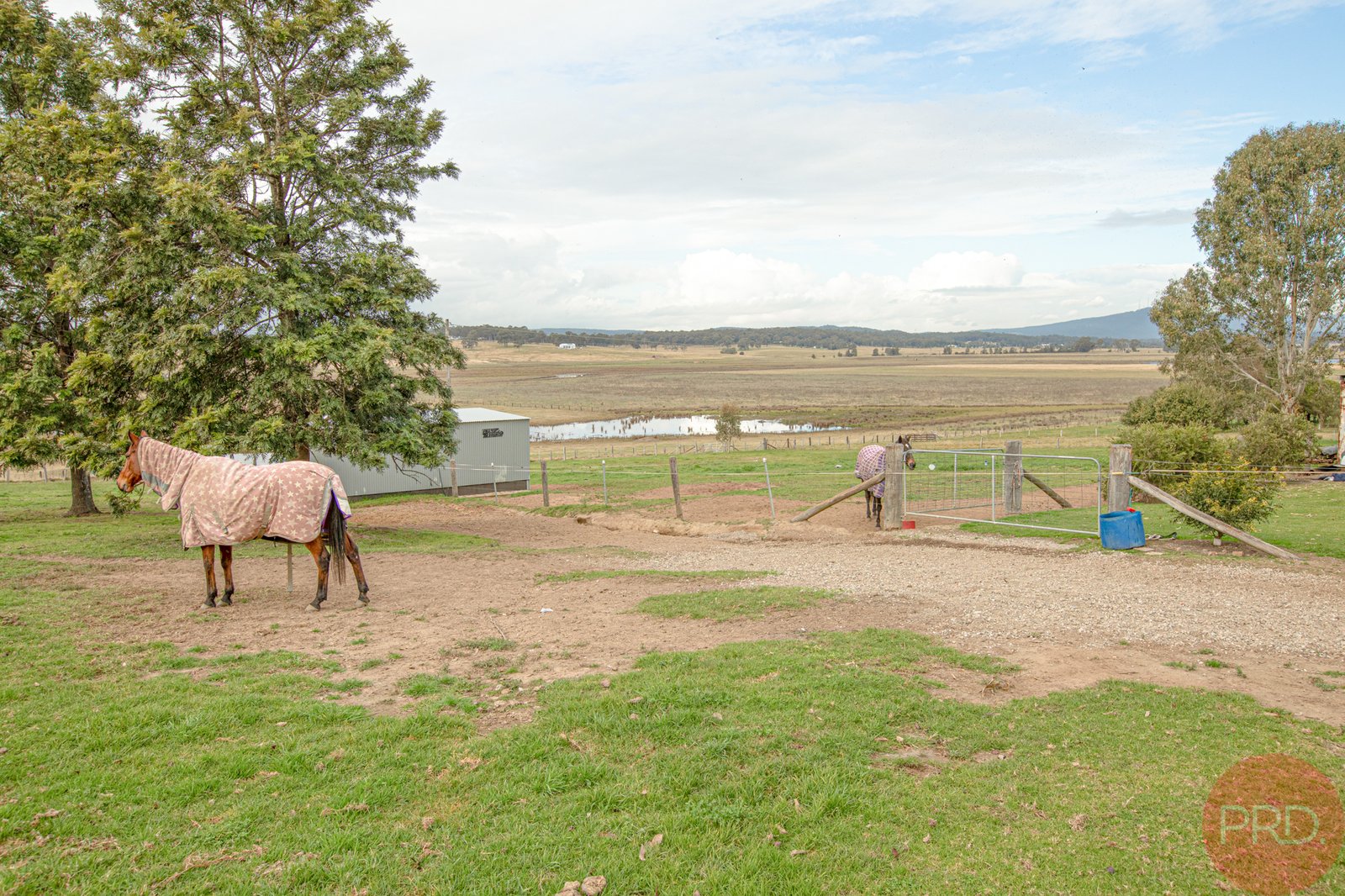 52 Main Road CLIFTLEIGH 28