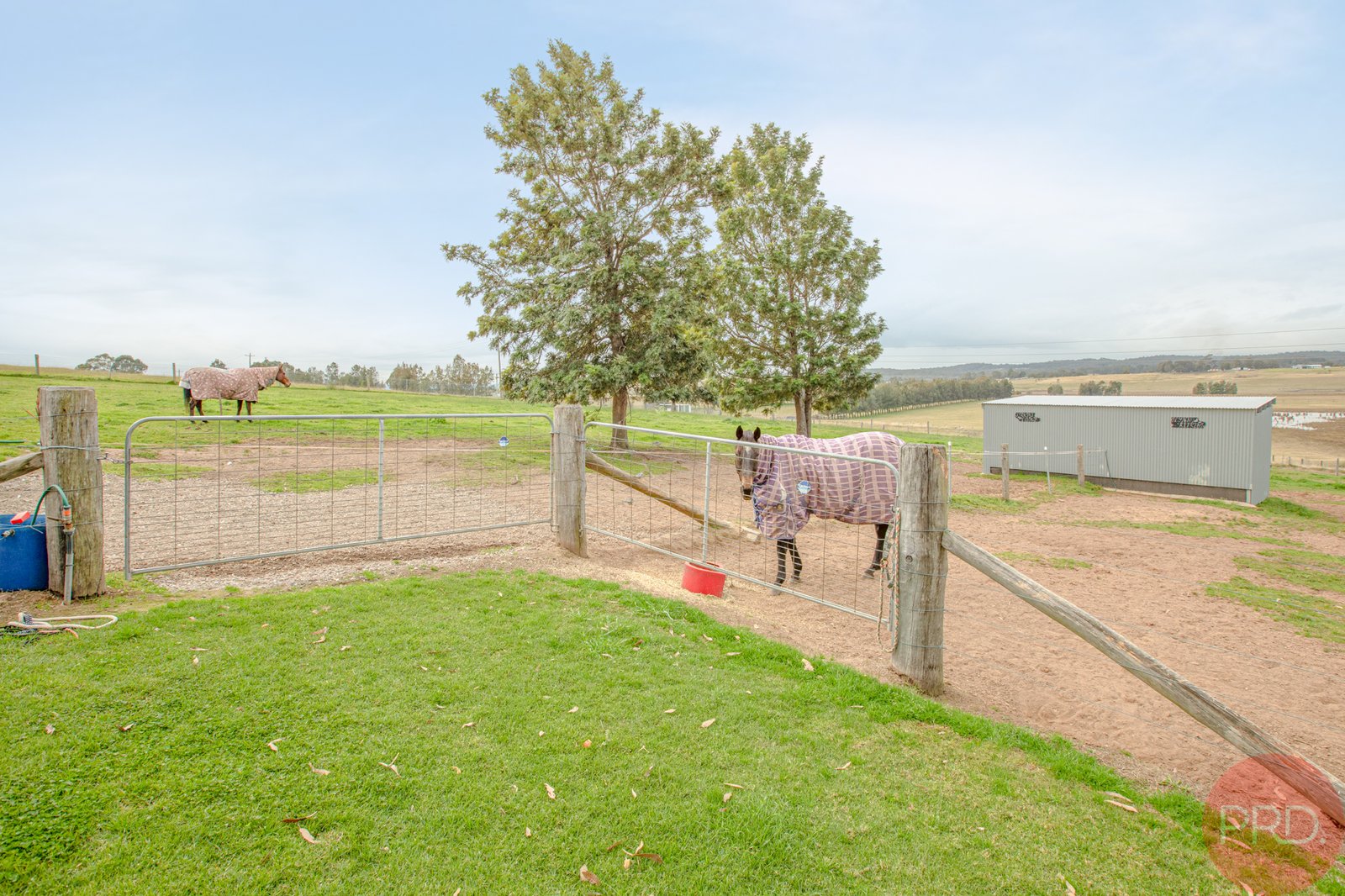 52 Main Road CLIFTLEIGH 29