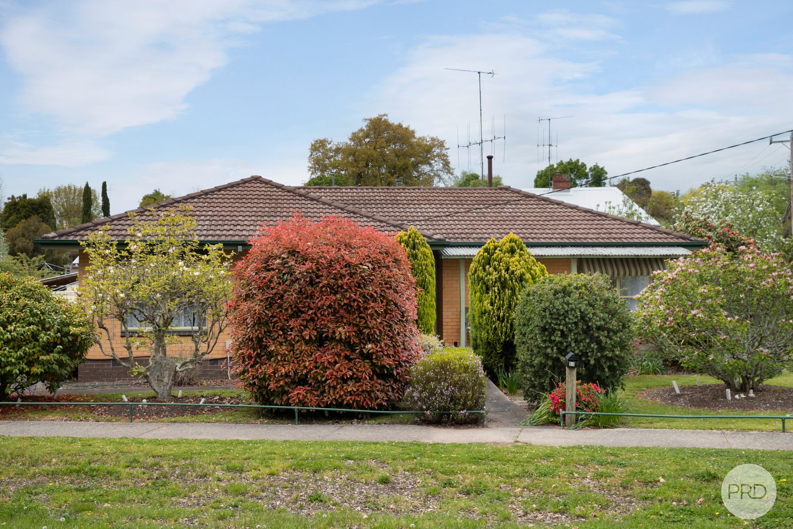 52 Napier Street CRESWICK 1