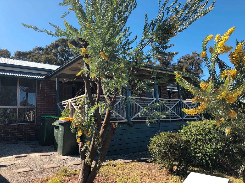 52 Oakbank Drive MOUNT HELEN 1