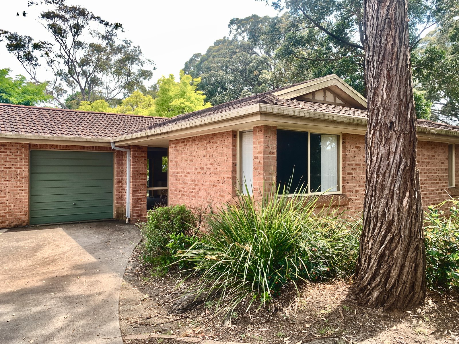 5/2 Ponyara Rd  BEVERLY HILLS 9