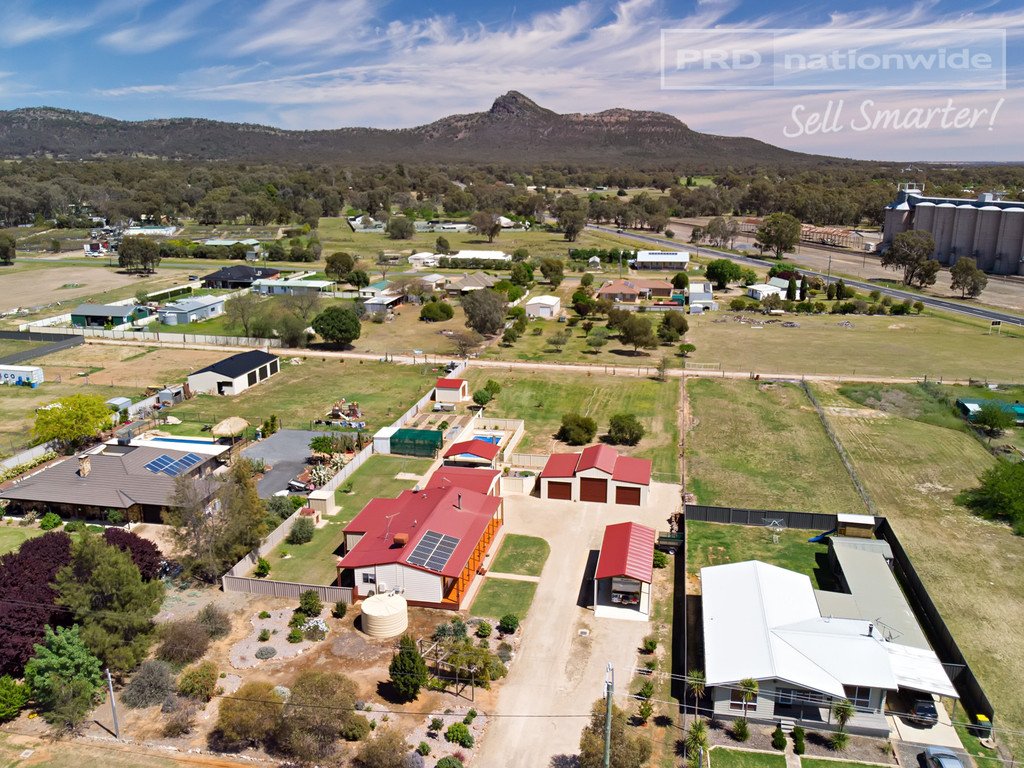 52 Scott Street THE ROCK 16